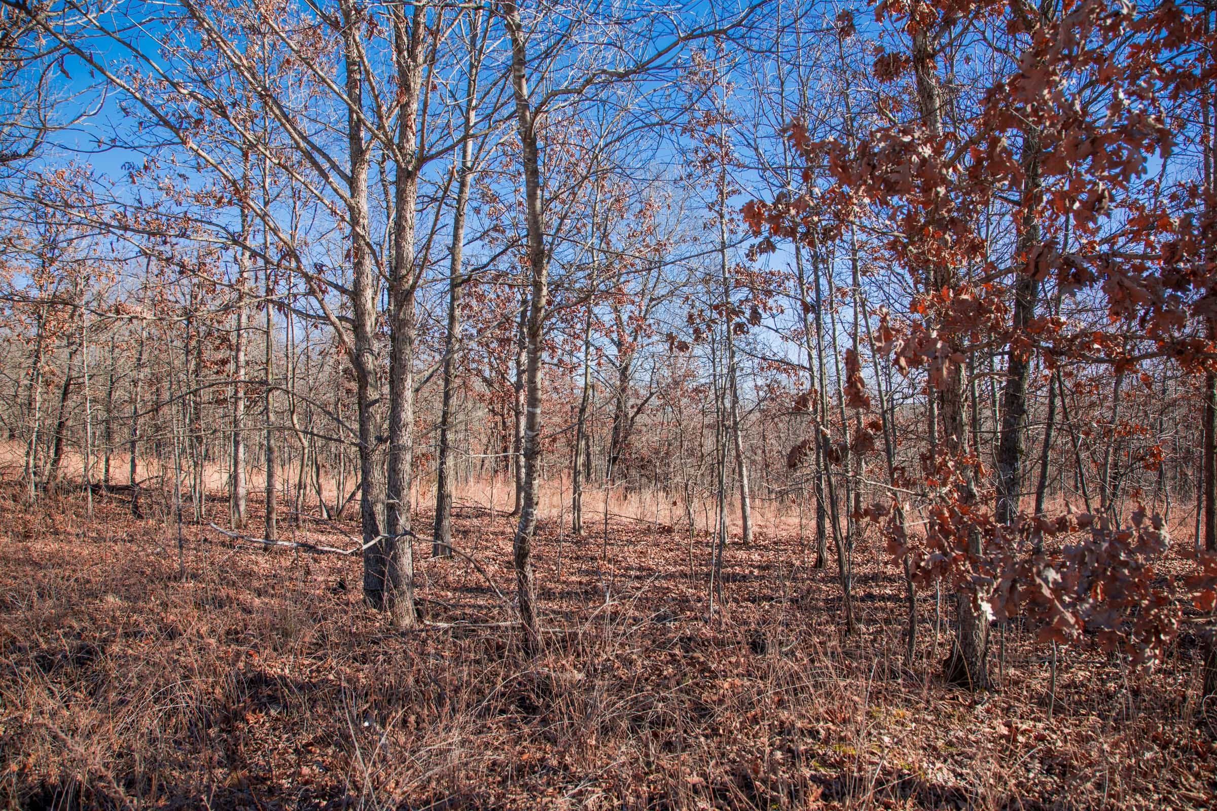 Buffalo Hills Tract 7 photo 3