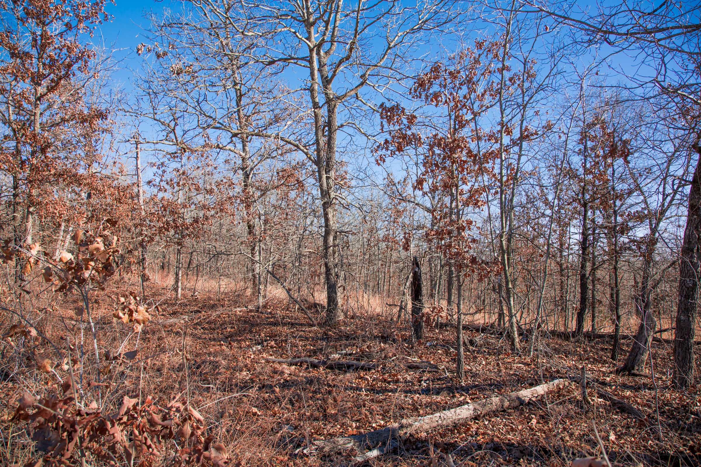Buffalo Hills Tract 7 photo 4