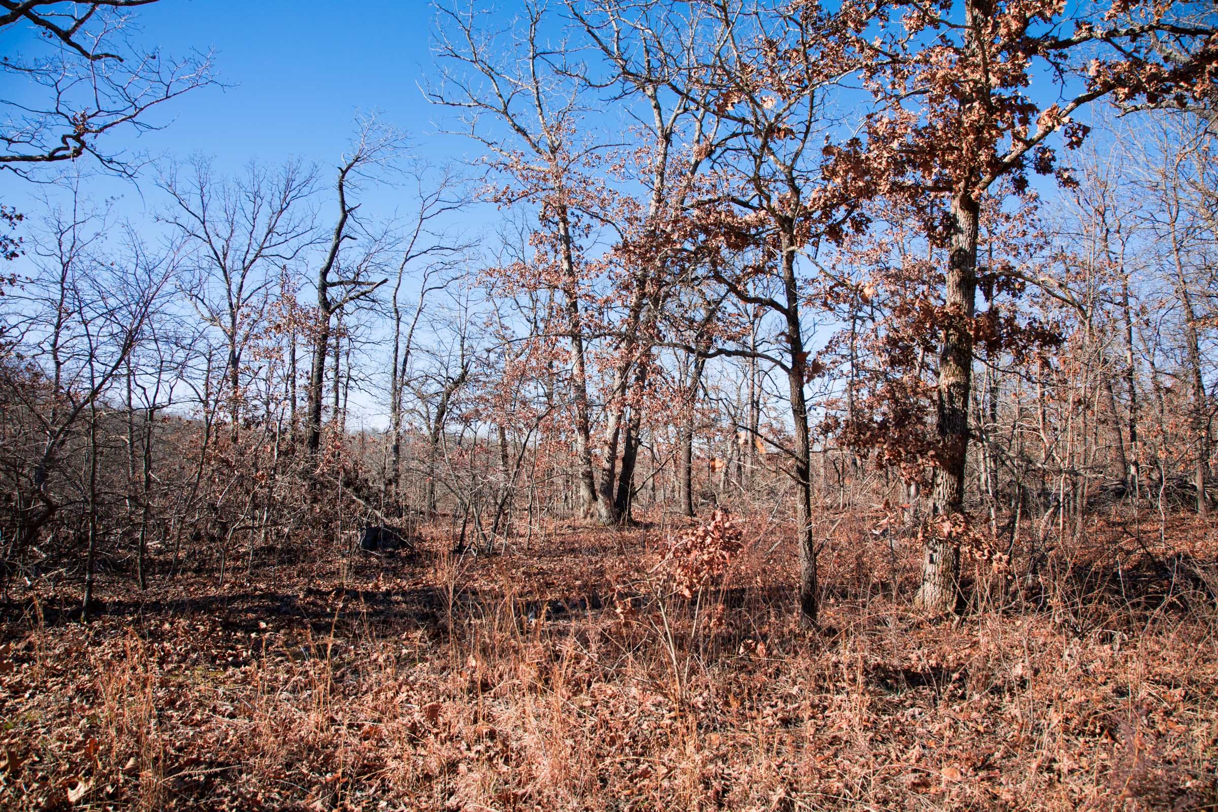 Buffalo Hills Tract 7 photo 5