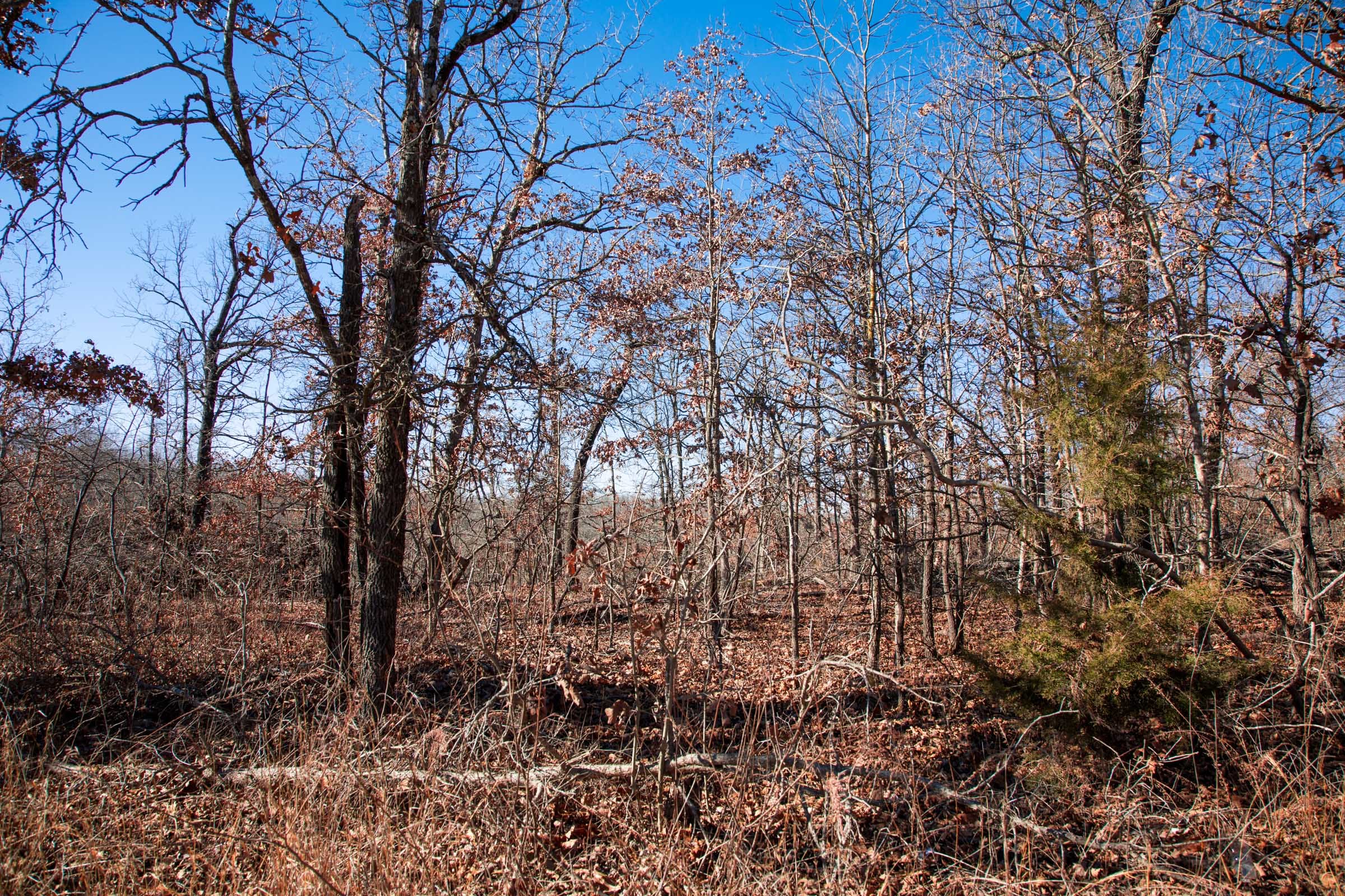 Buffalo Hills Tract 7 photo 6