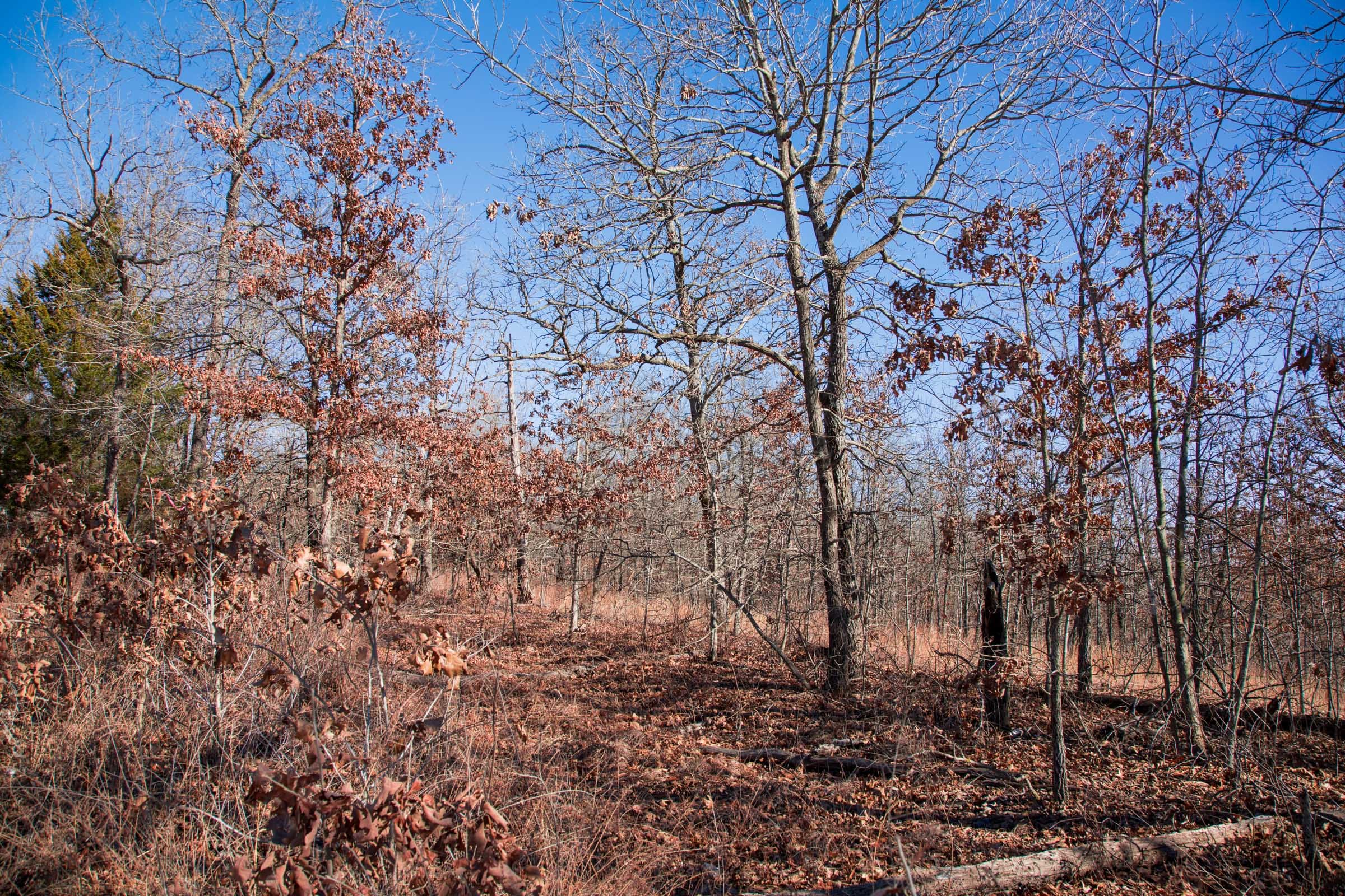 Buffalo Hills Tract 7 photo 7
