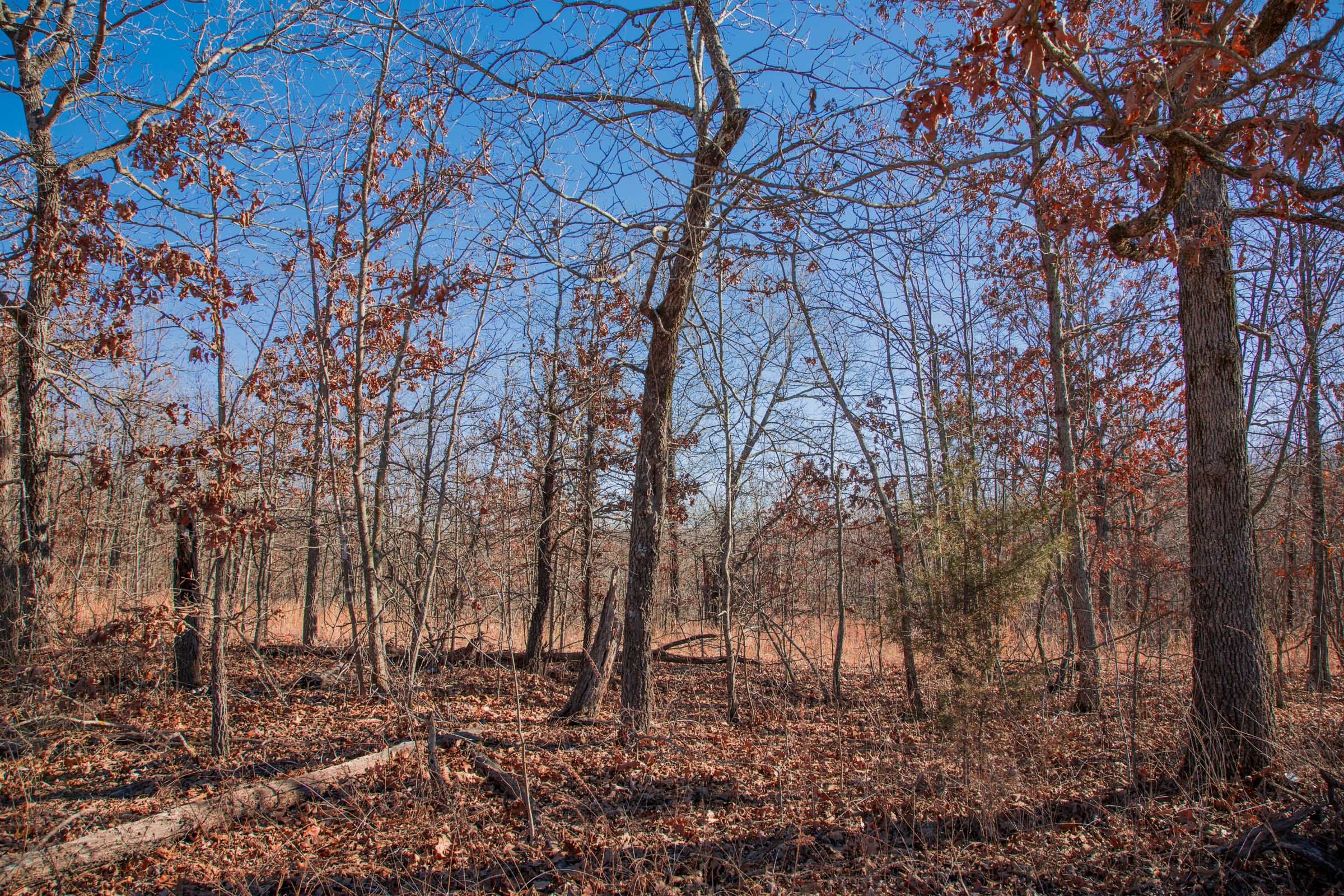 Buffalo Hills Tract 7 photo 8