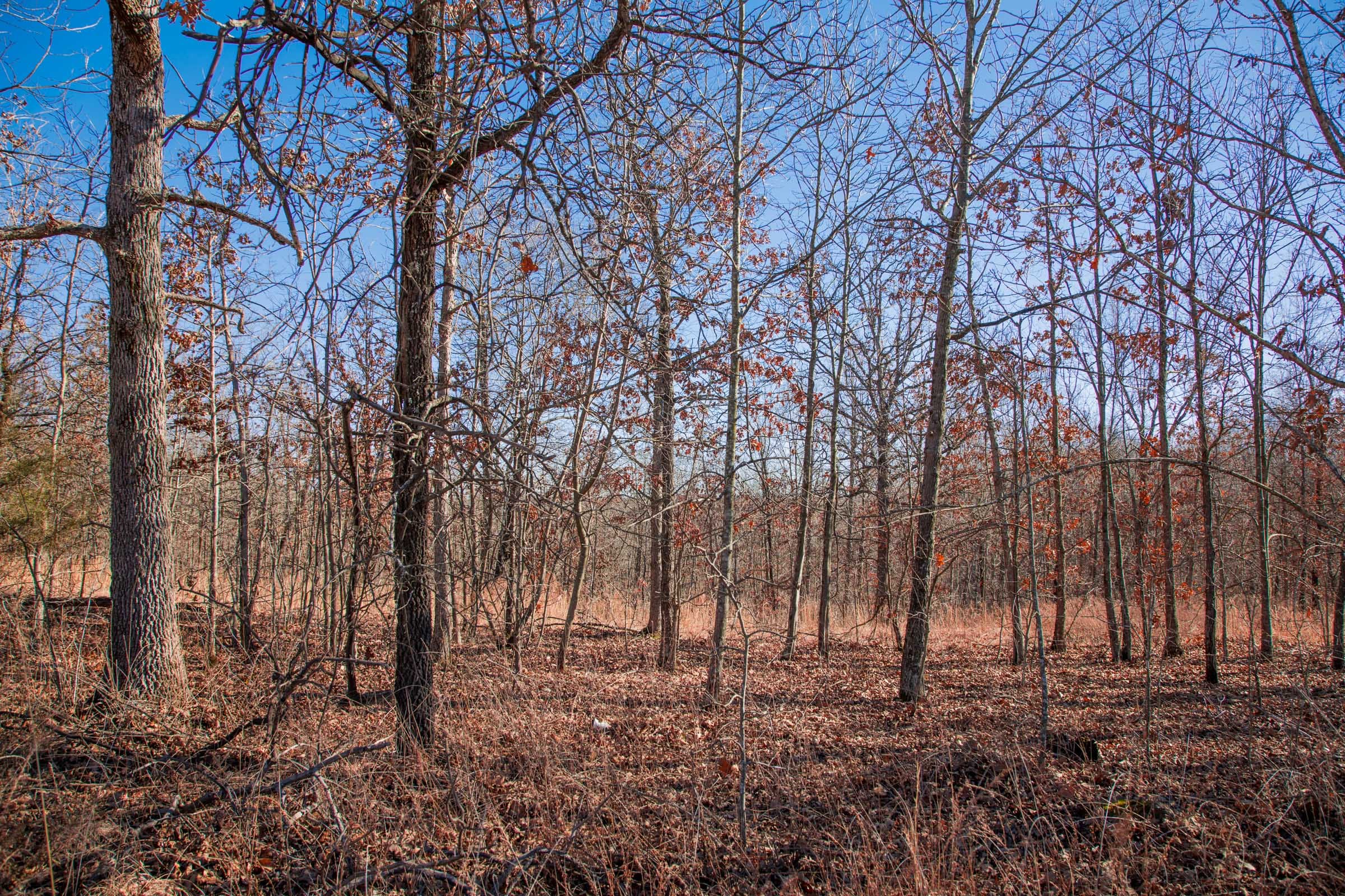 Buffalo Hills Tract 7 photo 9