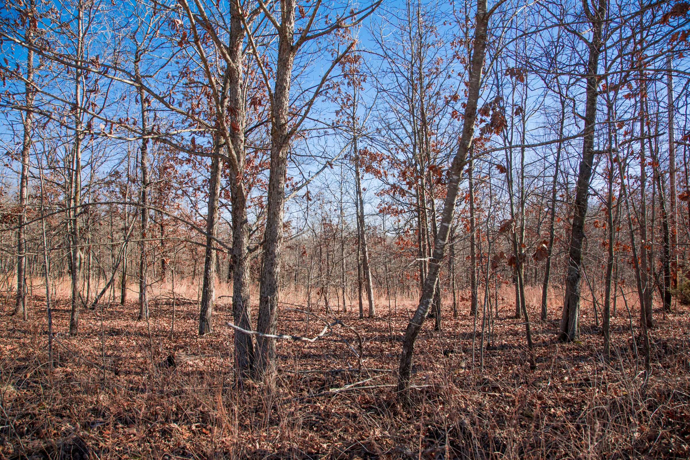Buffalo Hills Tract 7 photo 10