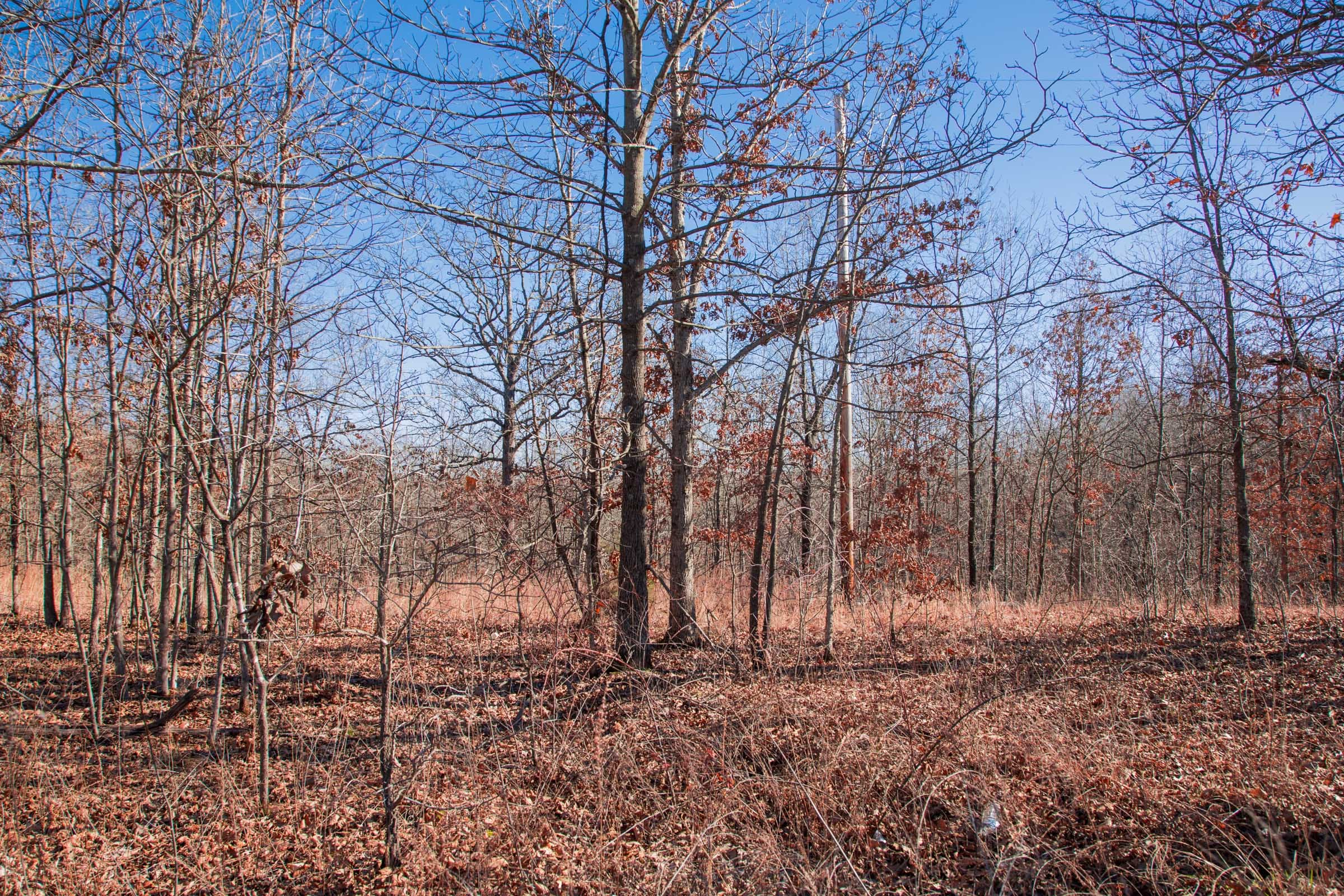 Buffalo Hills Tract 7 photo 11