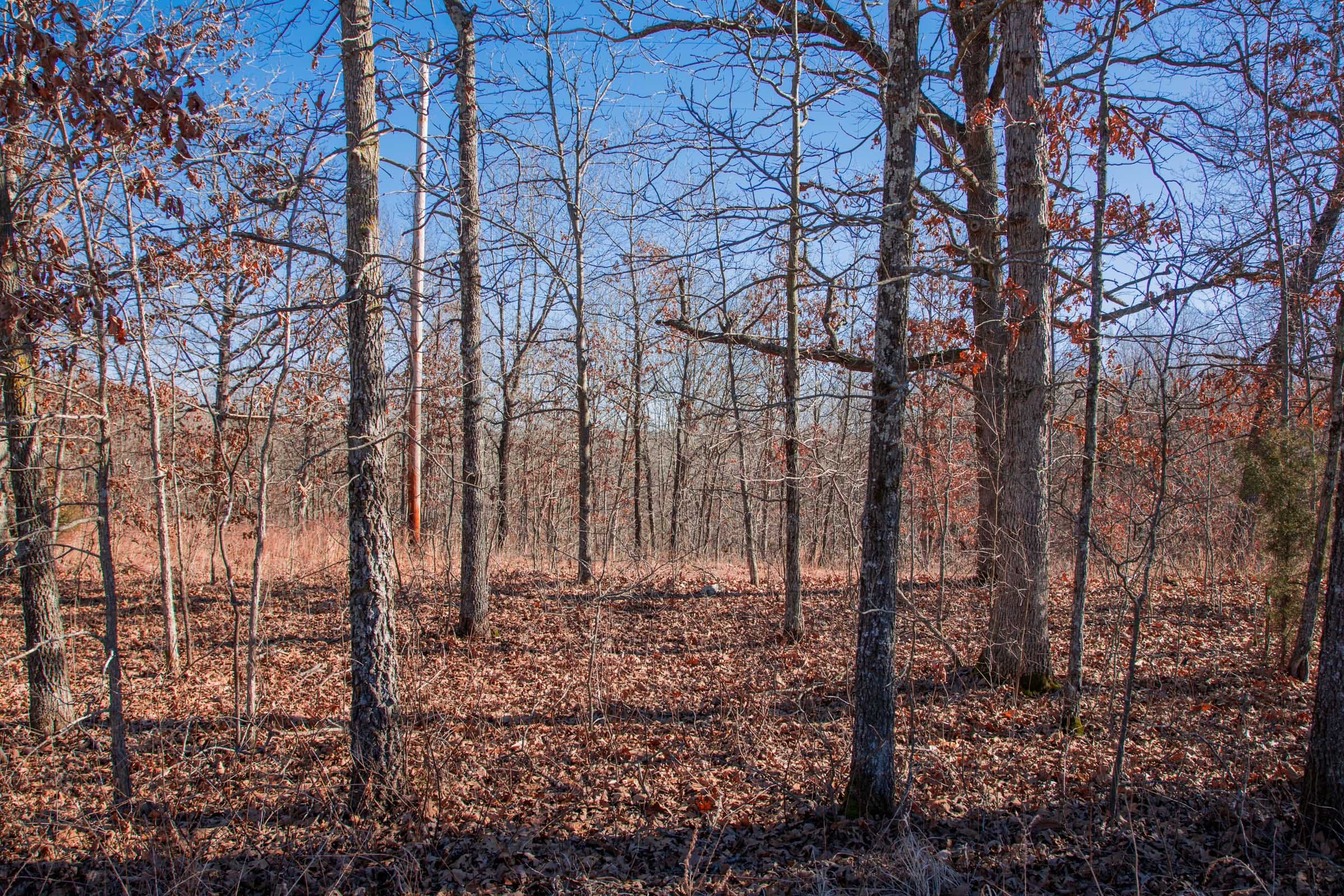 Buffalo Hills Tract 7 photo 12