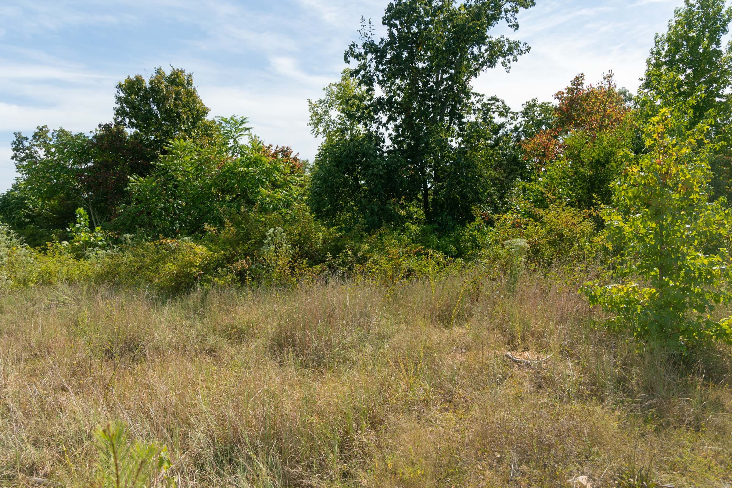 Big White Oak Tract 42 photo 6