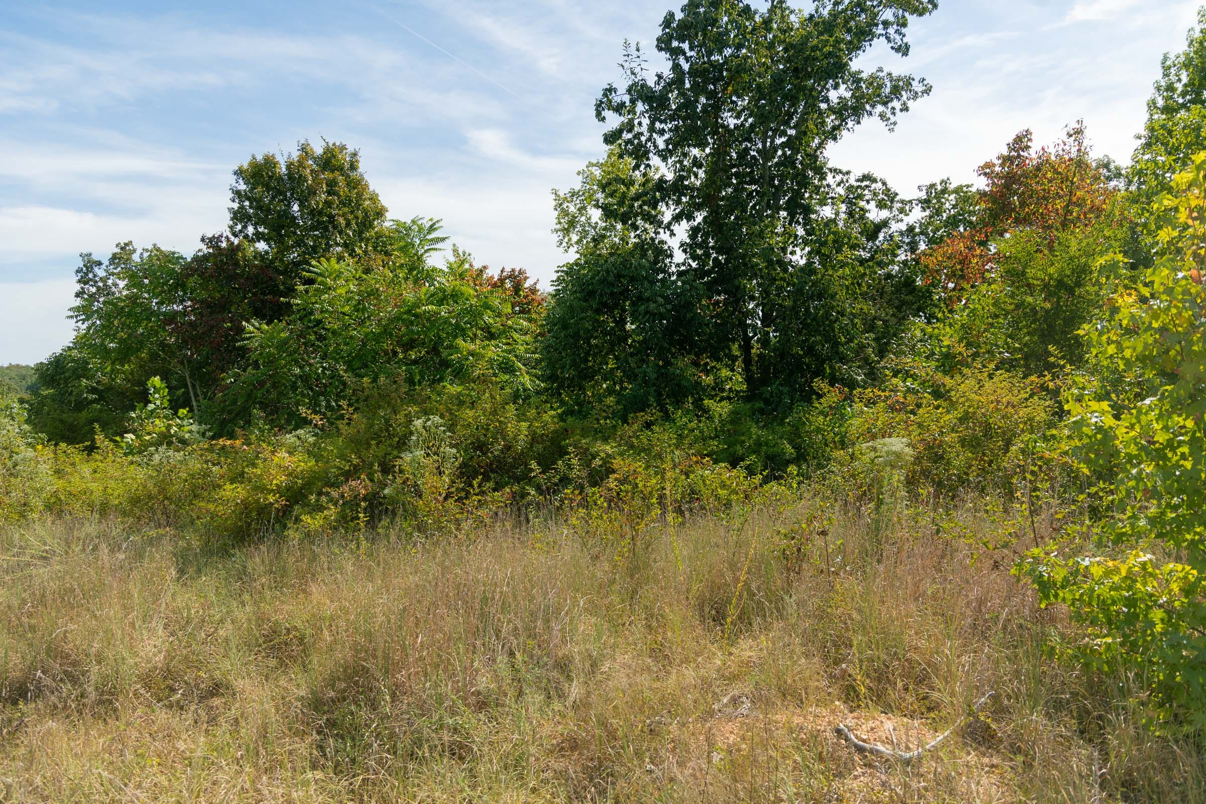 Big White Oak Tract 42 photo 9