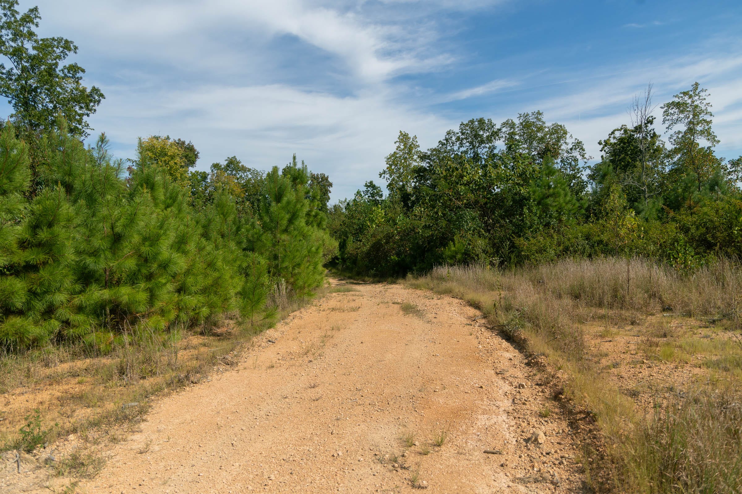 Big White Oak Tract 21 photo 8