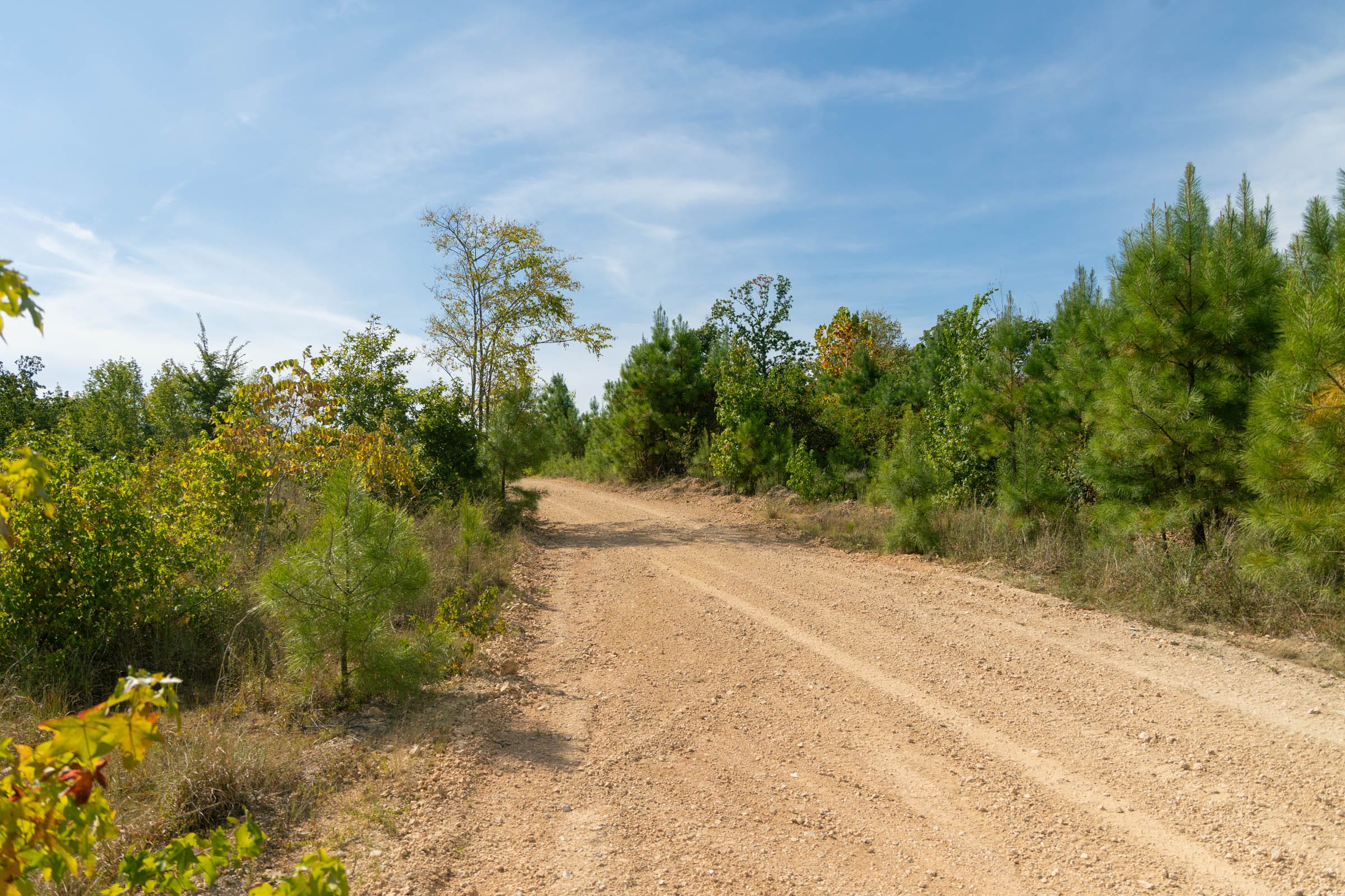 Big White Oak Tract 21 photo 4