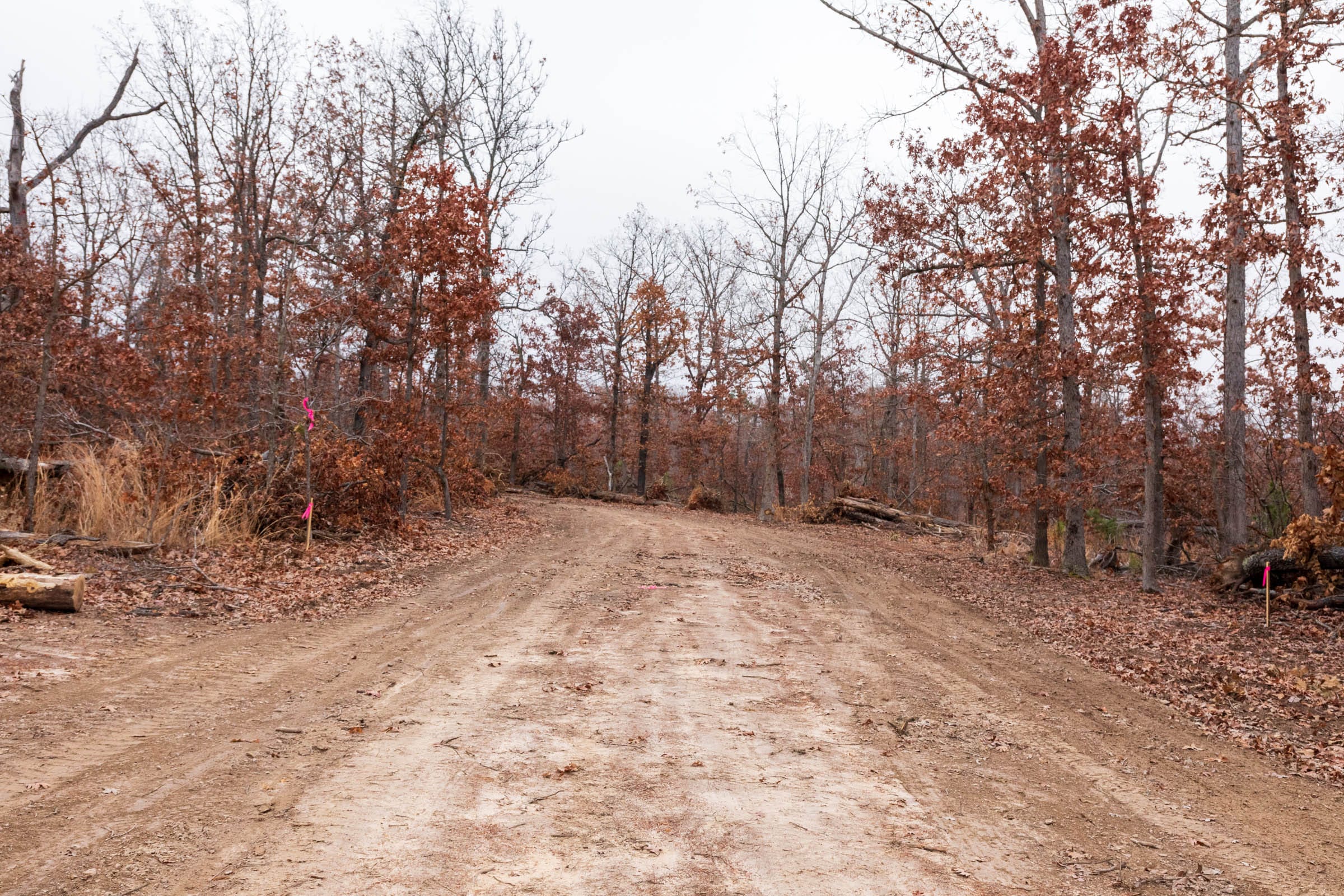 Carter’s Crossing Tract 6 photo 4