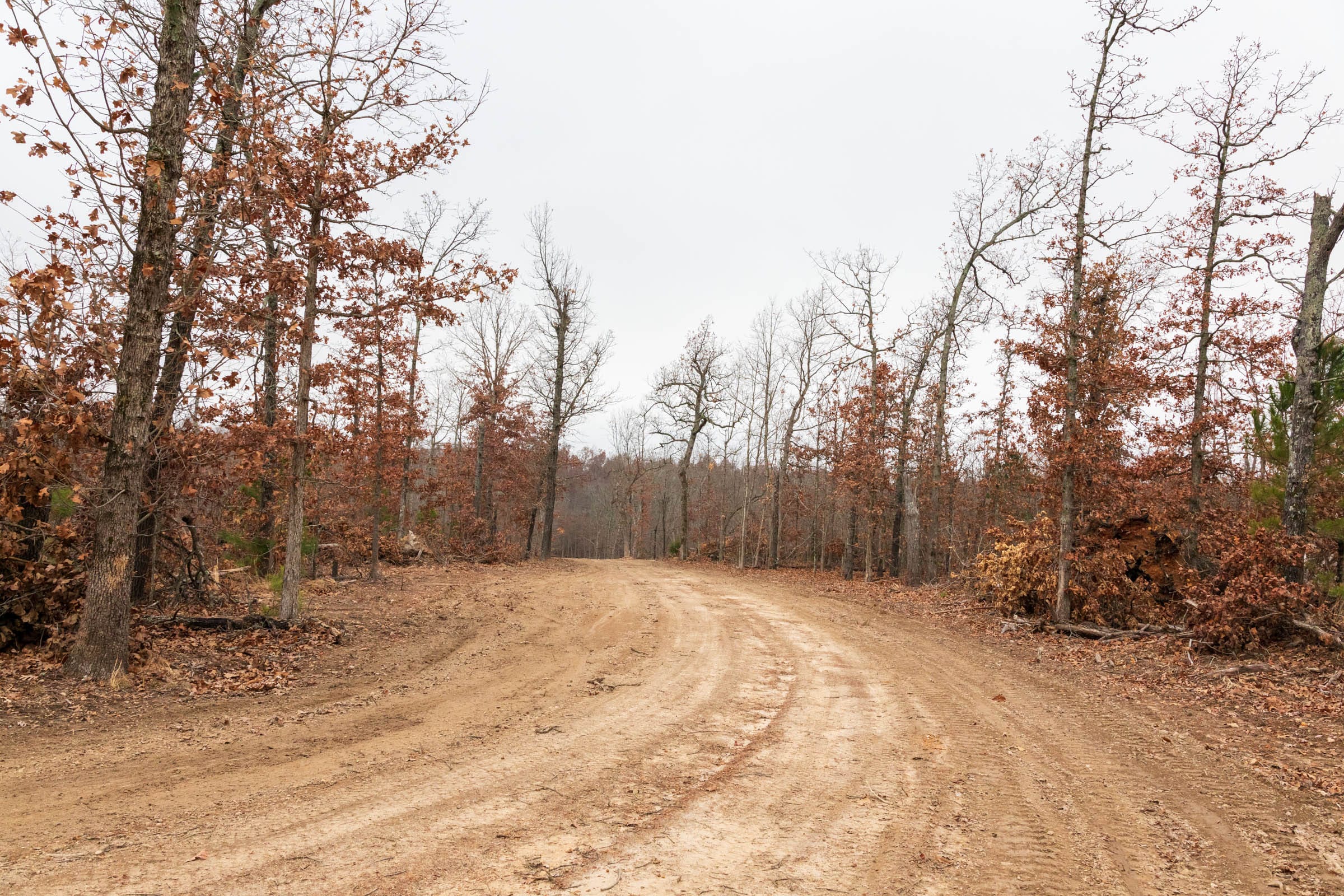 Carter’s Crossing Tract 6 photo 1