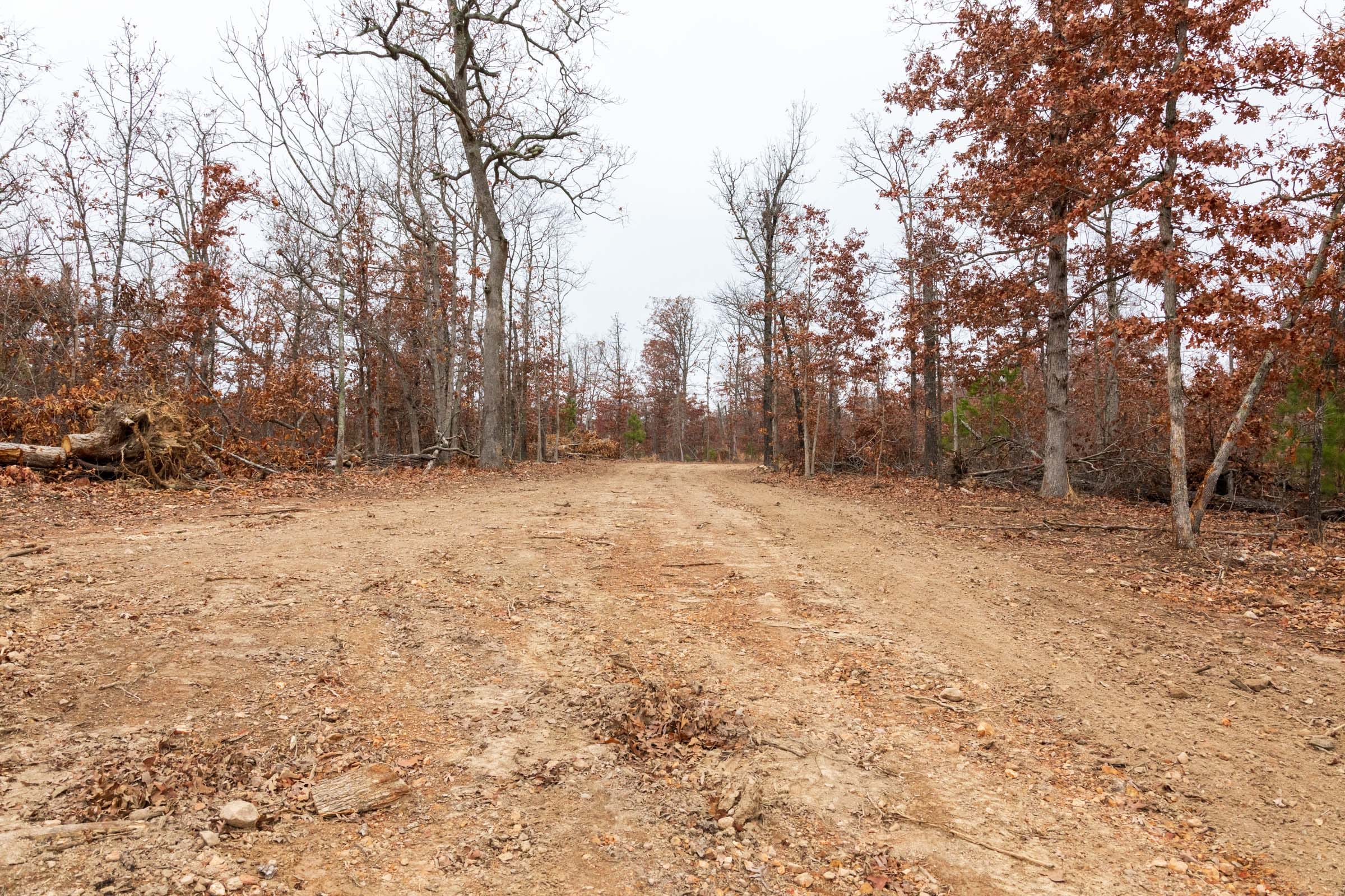 Carter’s Crossing Tract 6 photo 8
