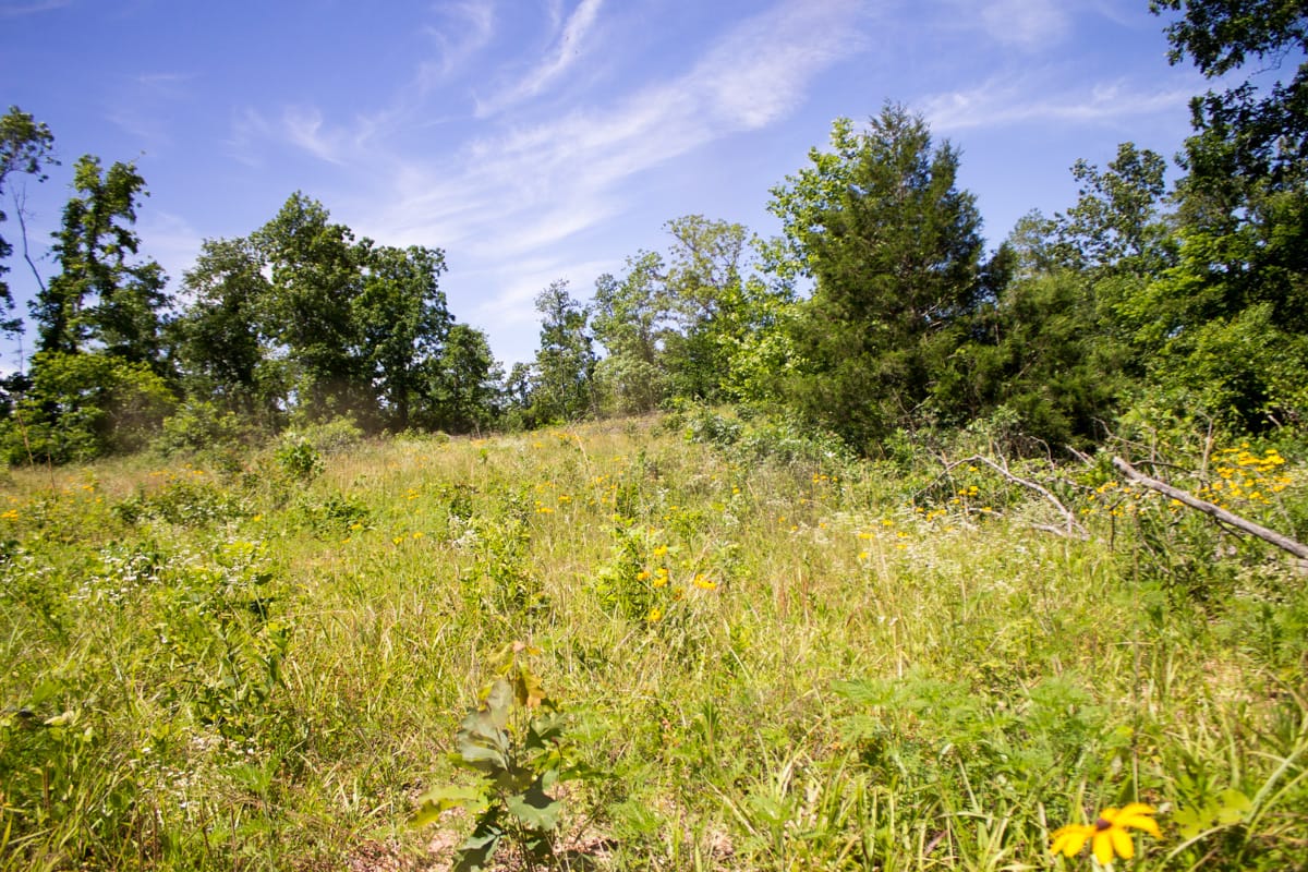 Timber Crossing Tract 26 photo 2