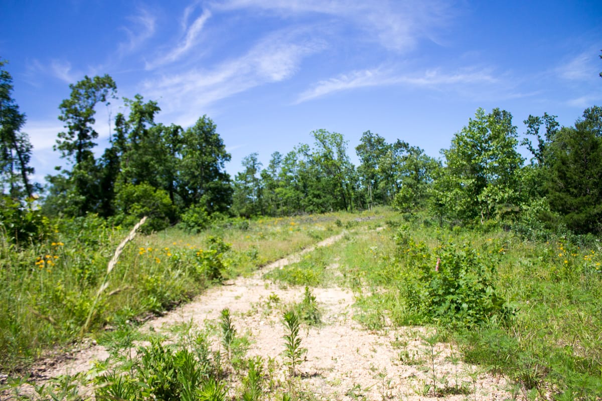 Timber Crossing Tract 26 photo 1