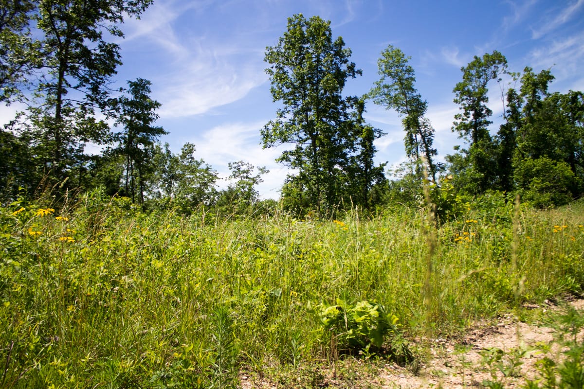 Timber Crossing Tract 26 photo 3