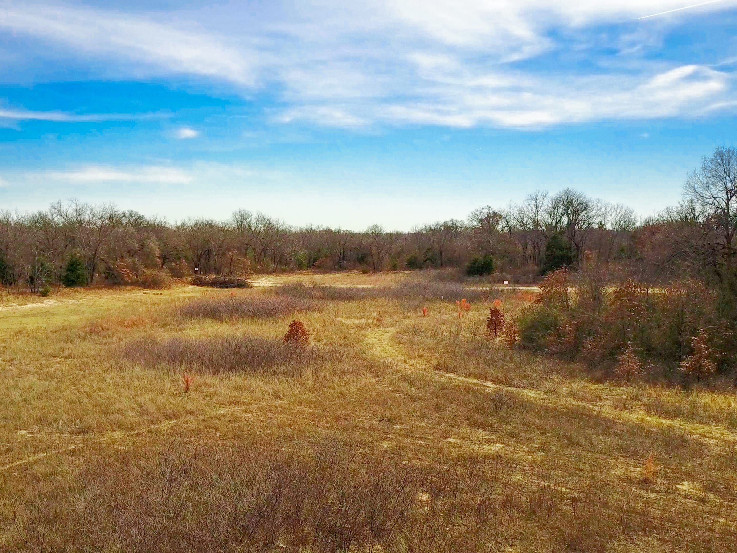 Legacy Ranch Tract 22 photo 5