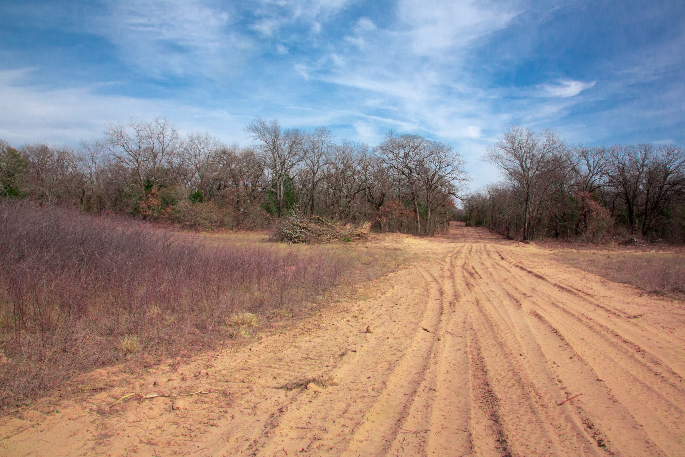 Legacy Ranch Tract 22 photo 6