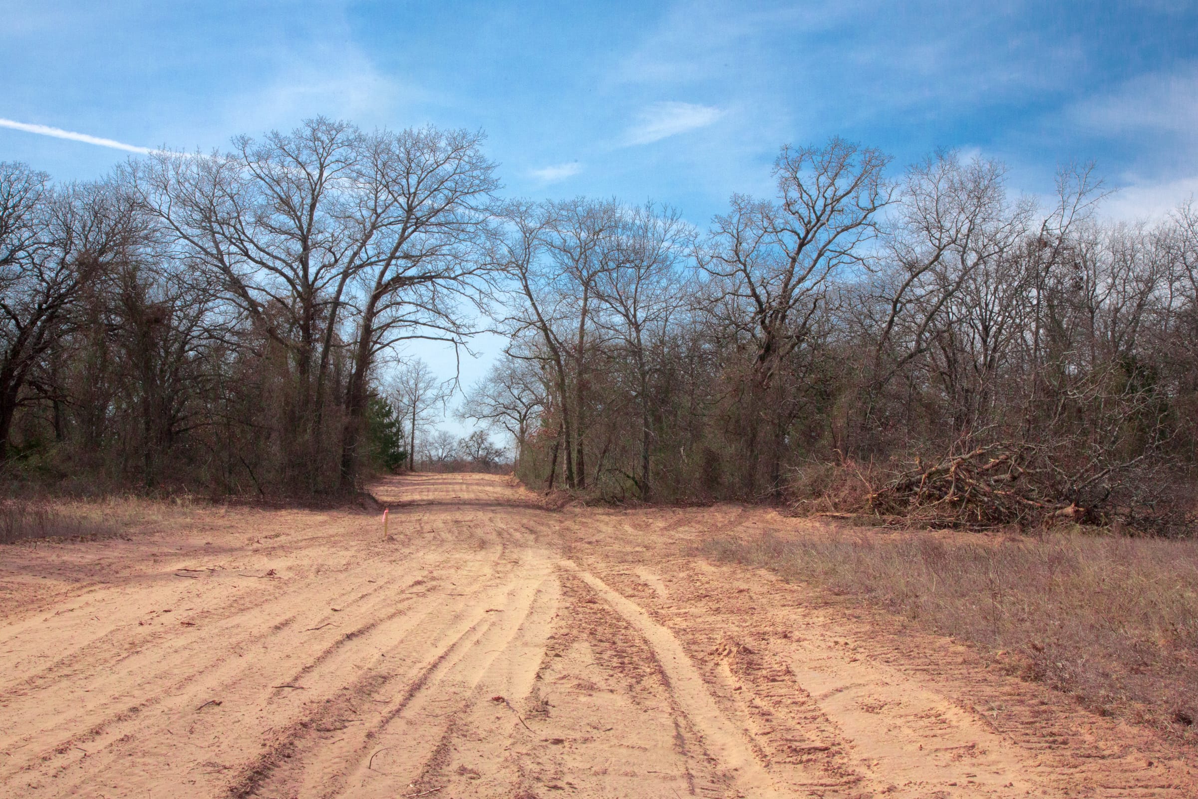 Legacy Ranch Tract 22 photo 11