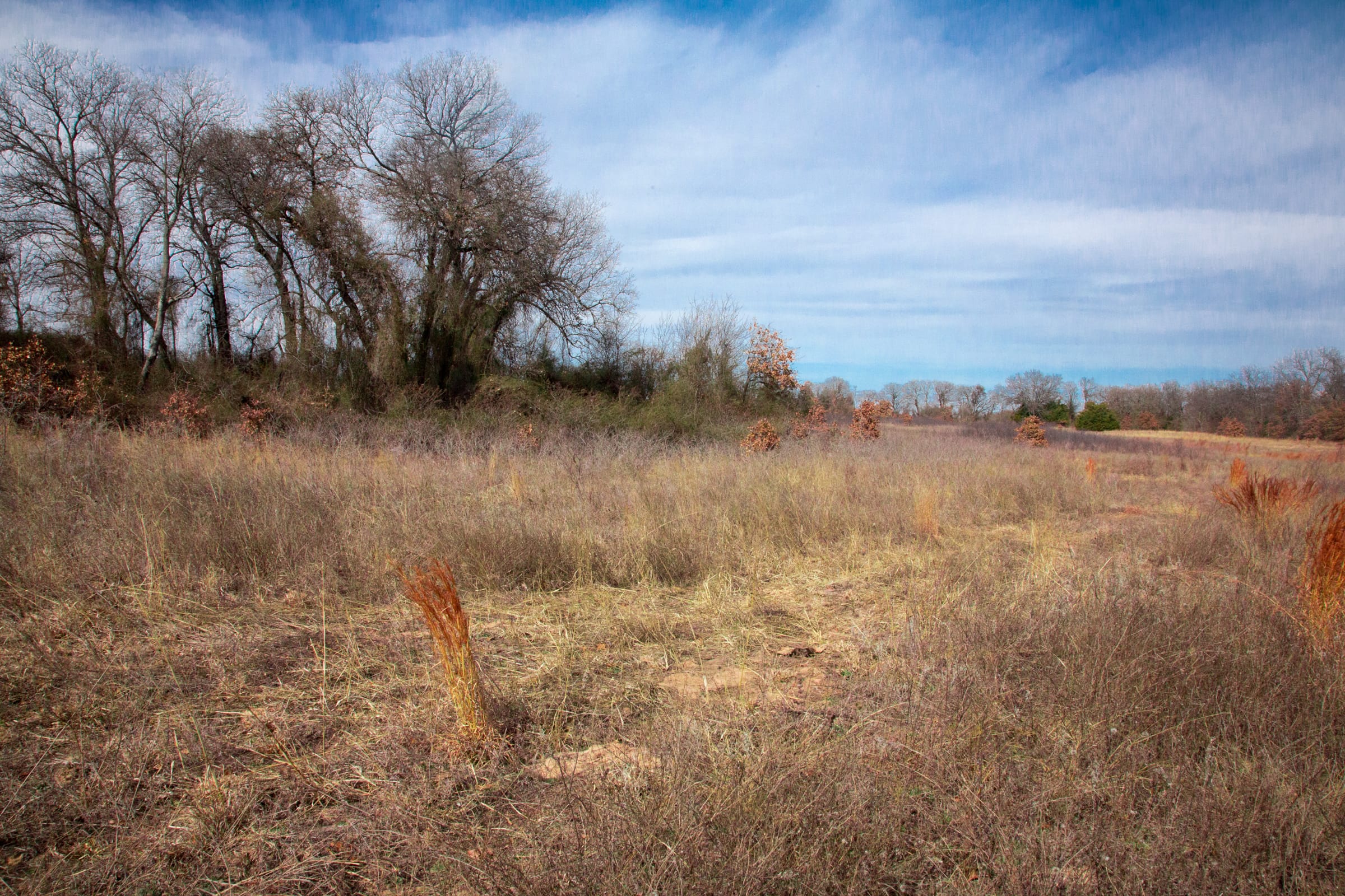 Legacy Ranch Tract 22 photo 8