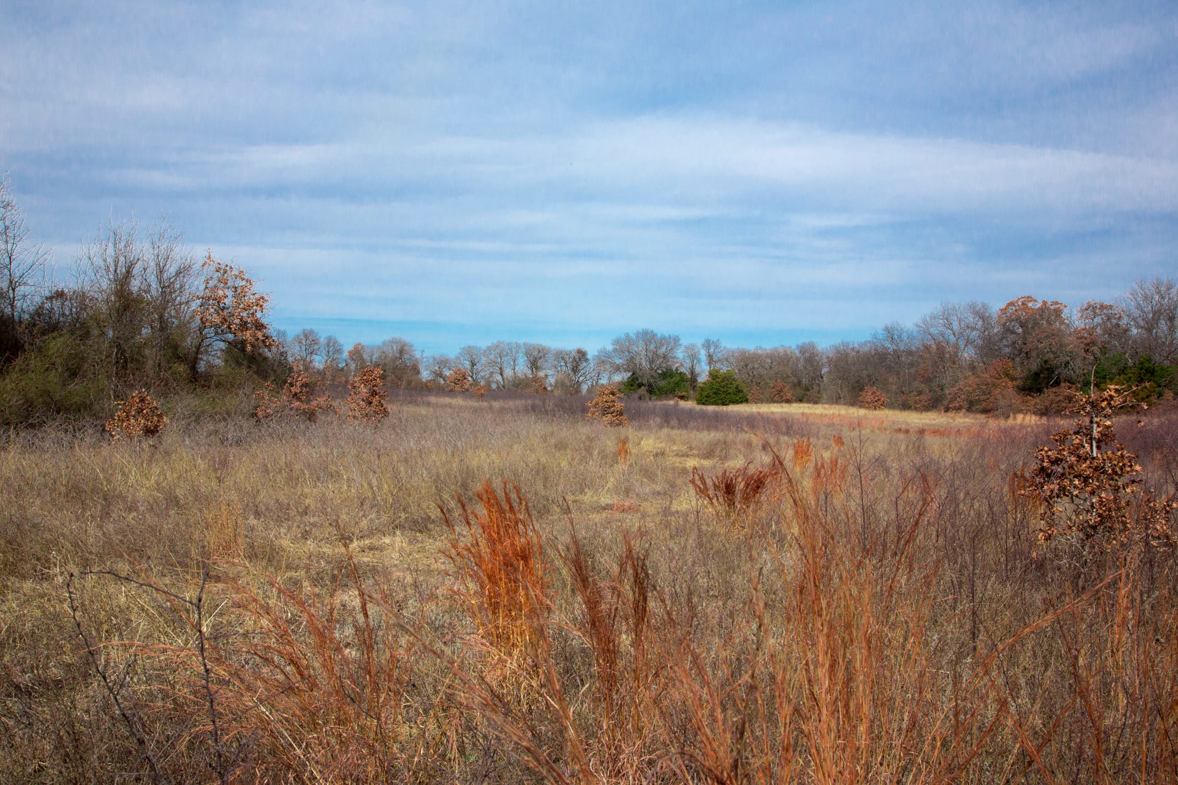 Legacy Ranch Tract 22 photo 10