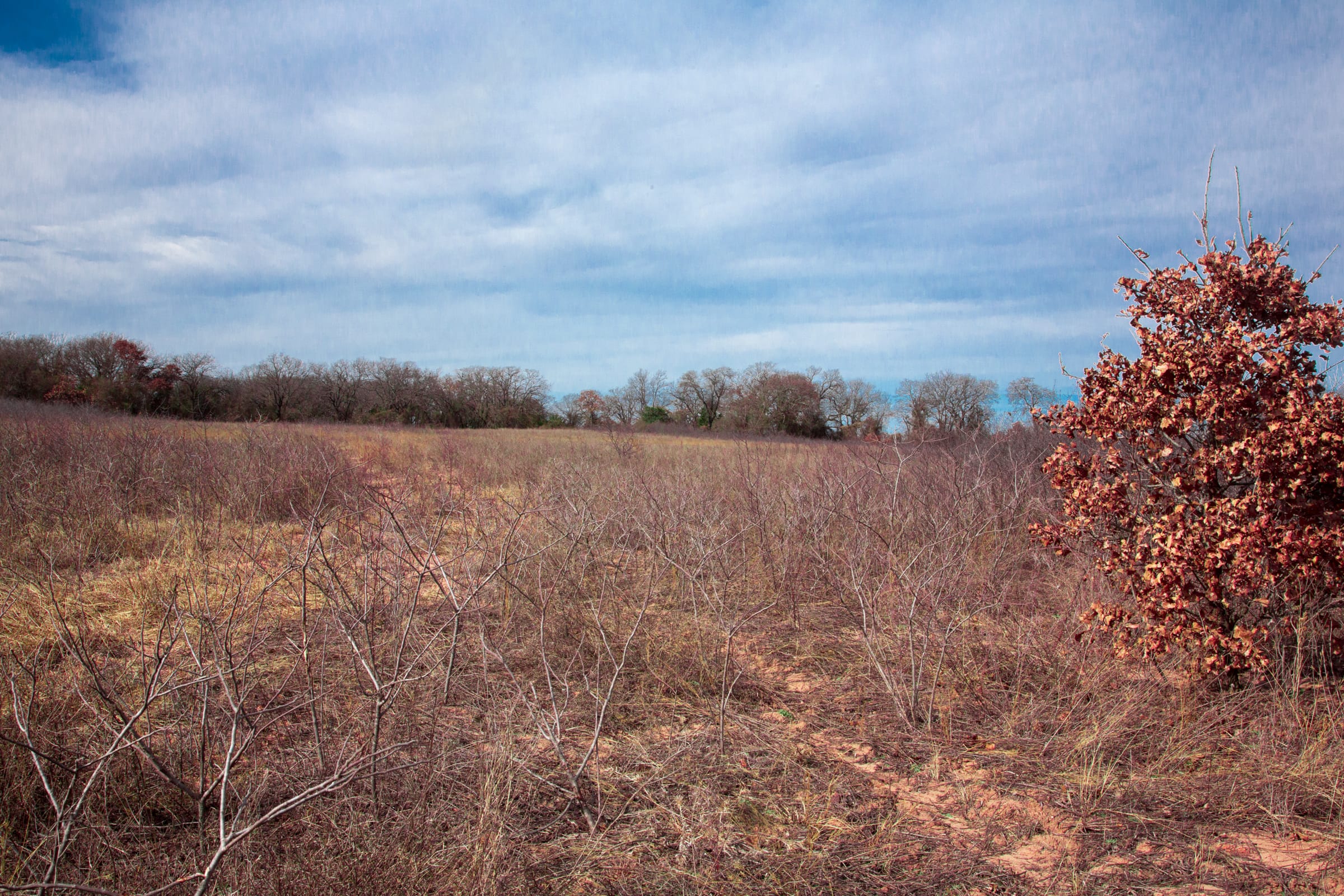 Legacy Ranch Tract 22 photo 13