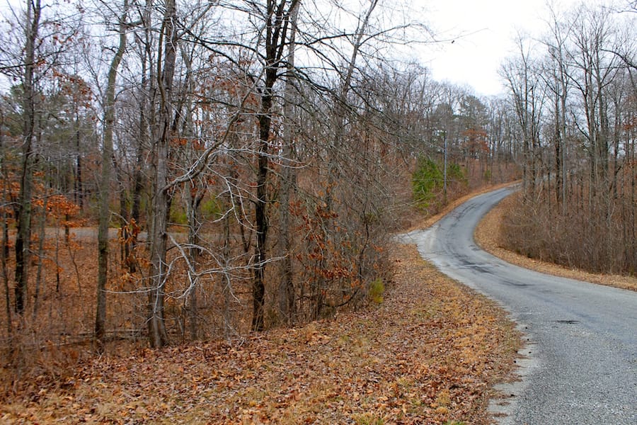 The Tennessean Tract 31 photo 7