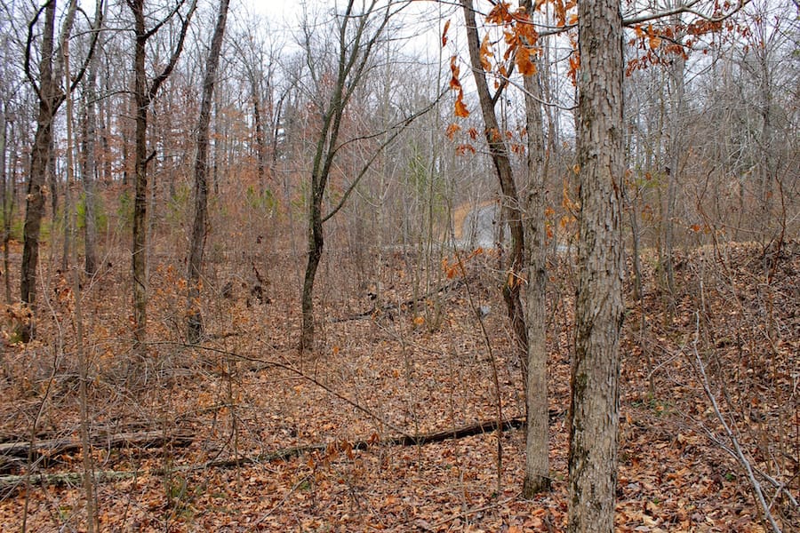 The Tennessean Tract 31 photo 5