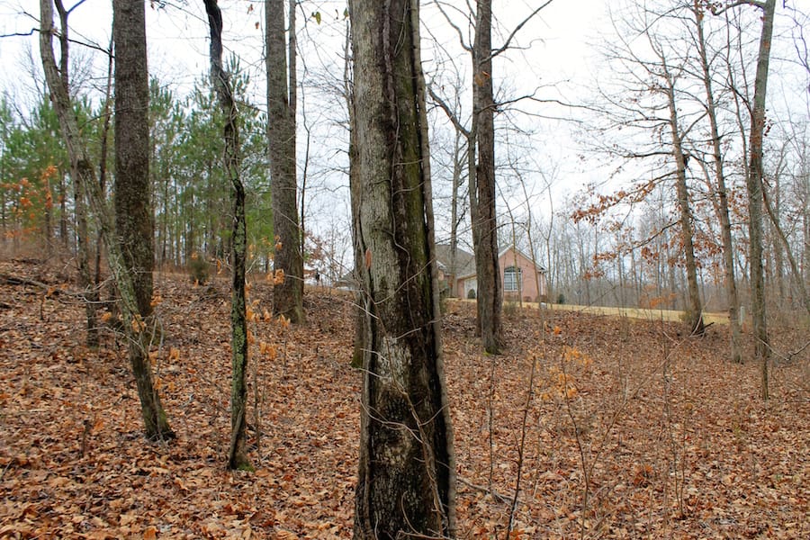 The Tennessean Tract 31 photo 10