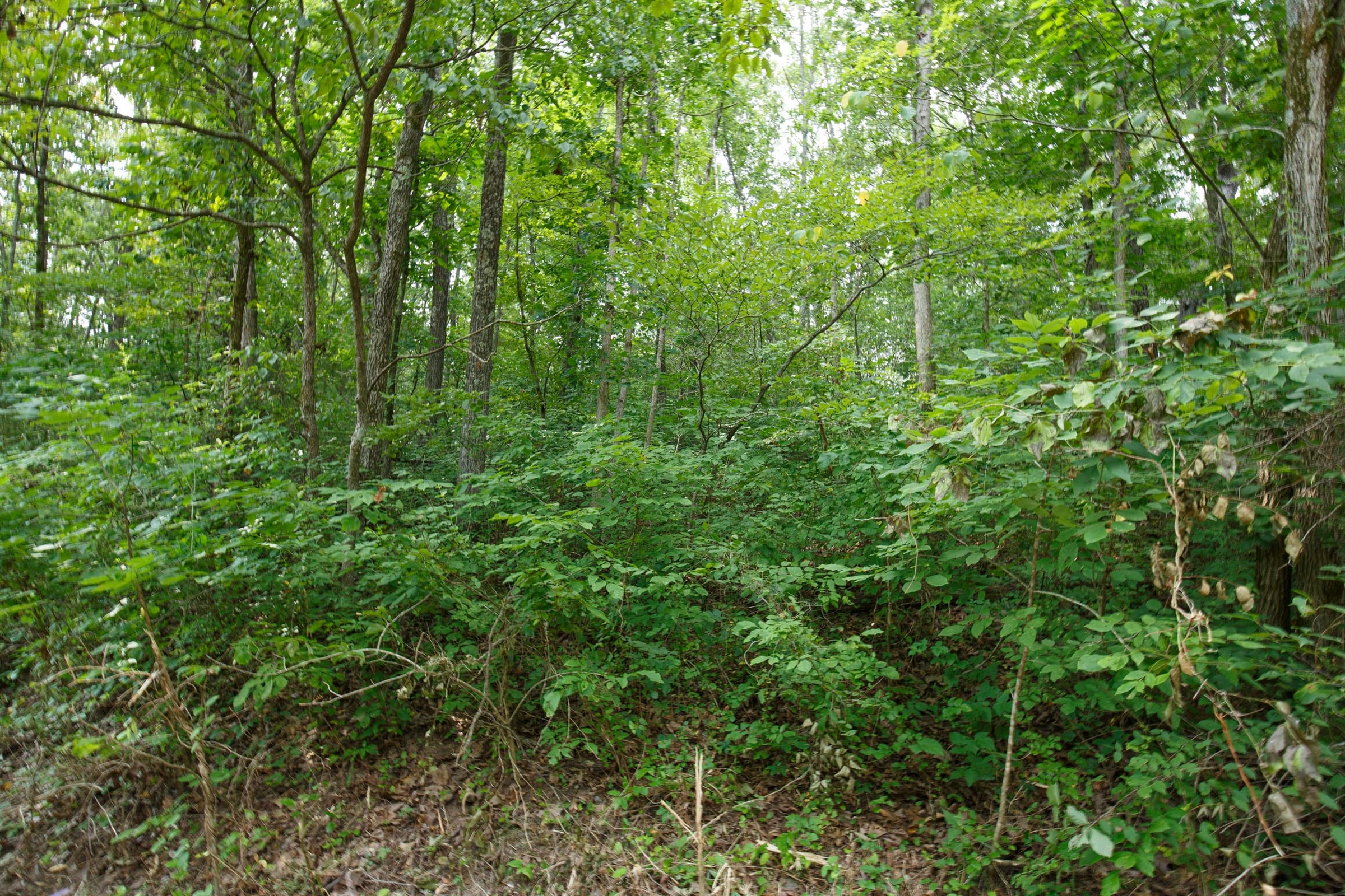 Spring Lake Plat 2 Tract 56 photo 2