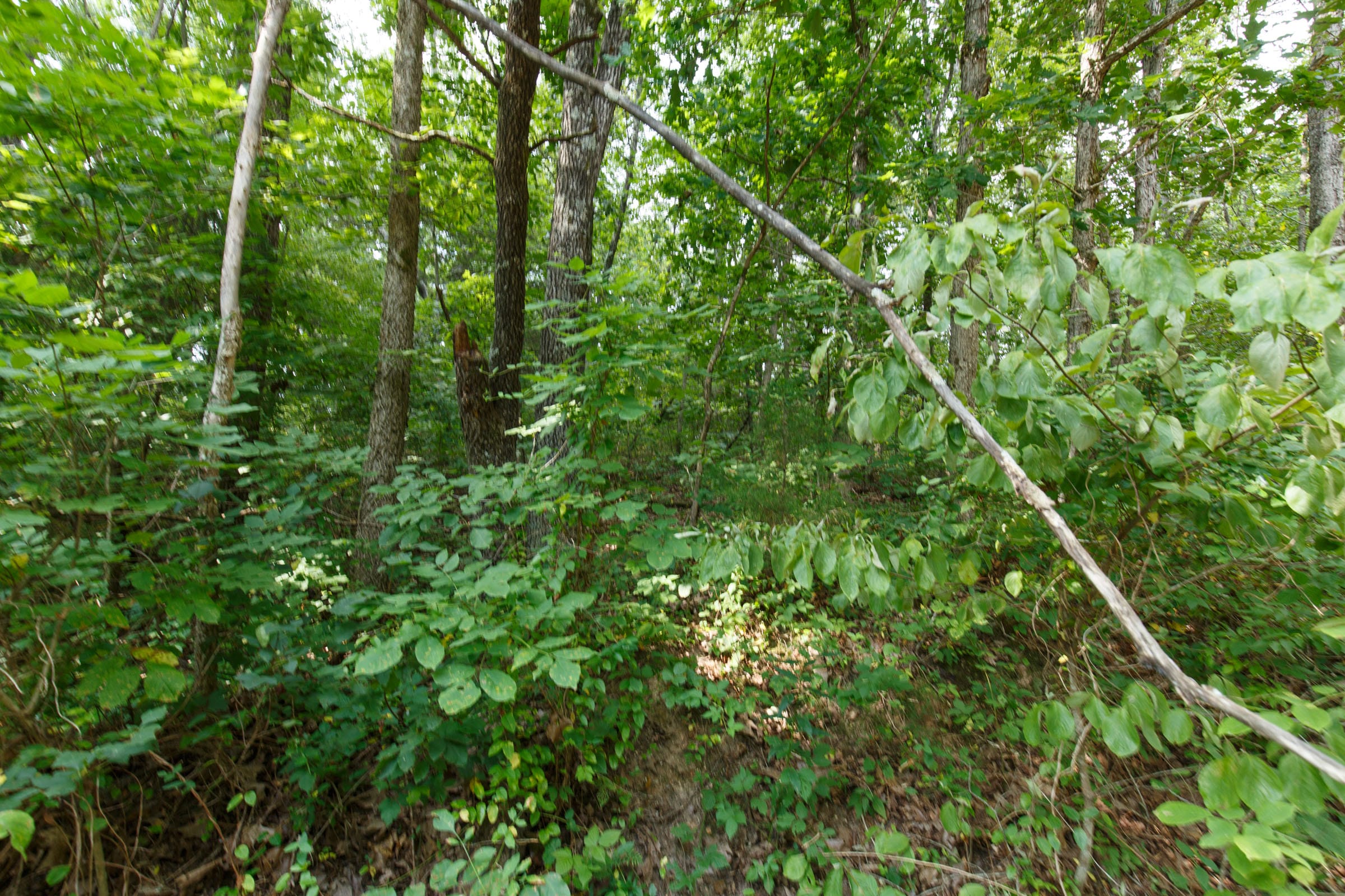 Spring Lake Plat 2 Tract 56 photo 3