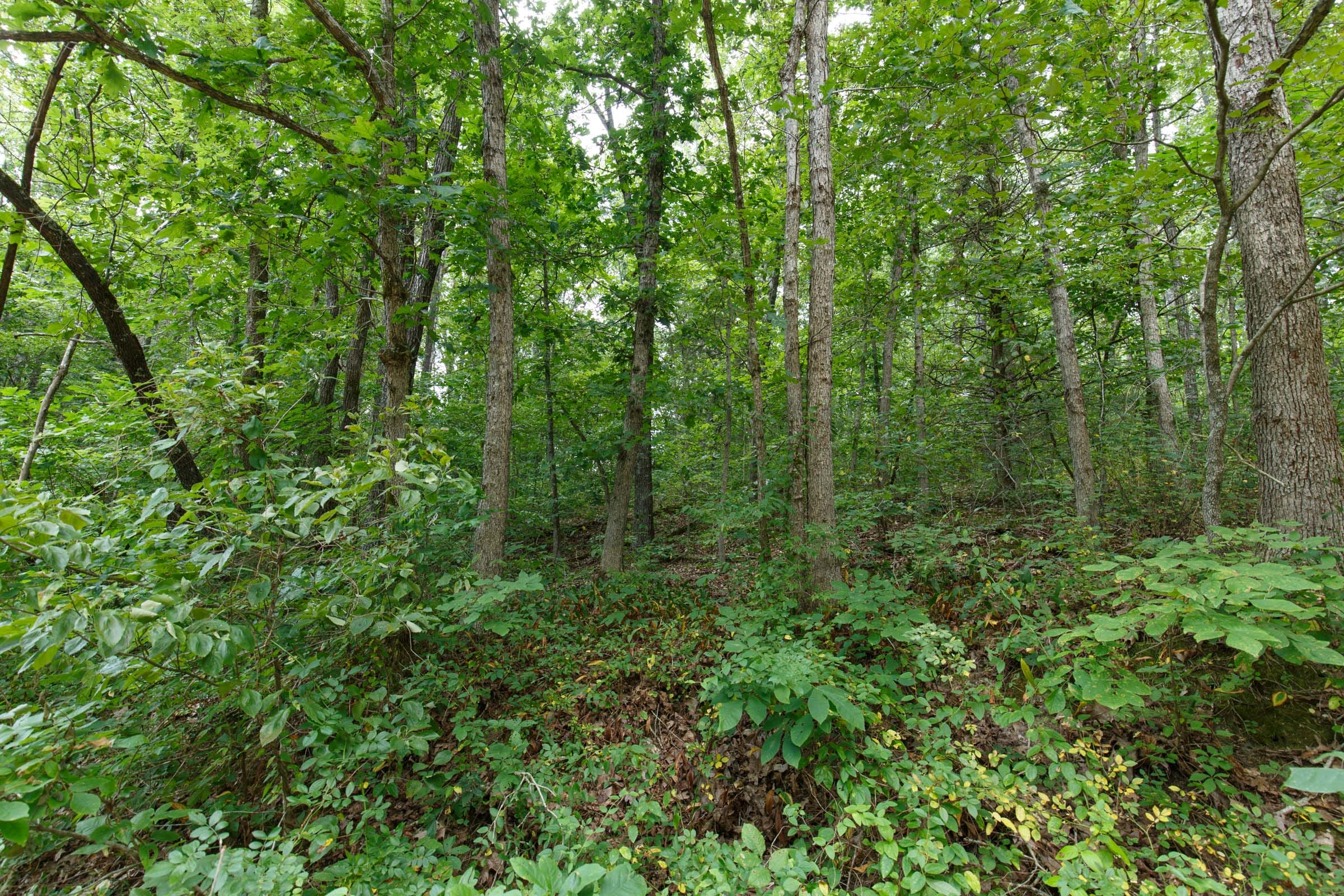 Spring Lake Plat 2 Tract 56 photo 4