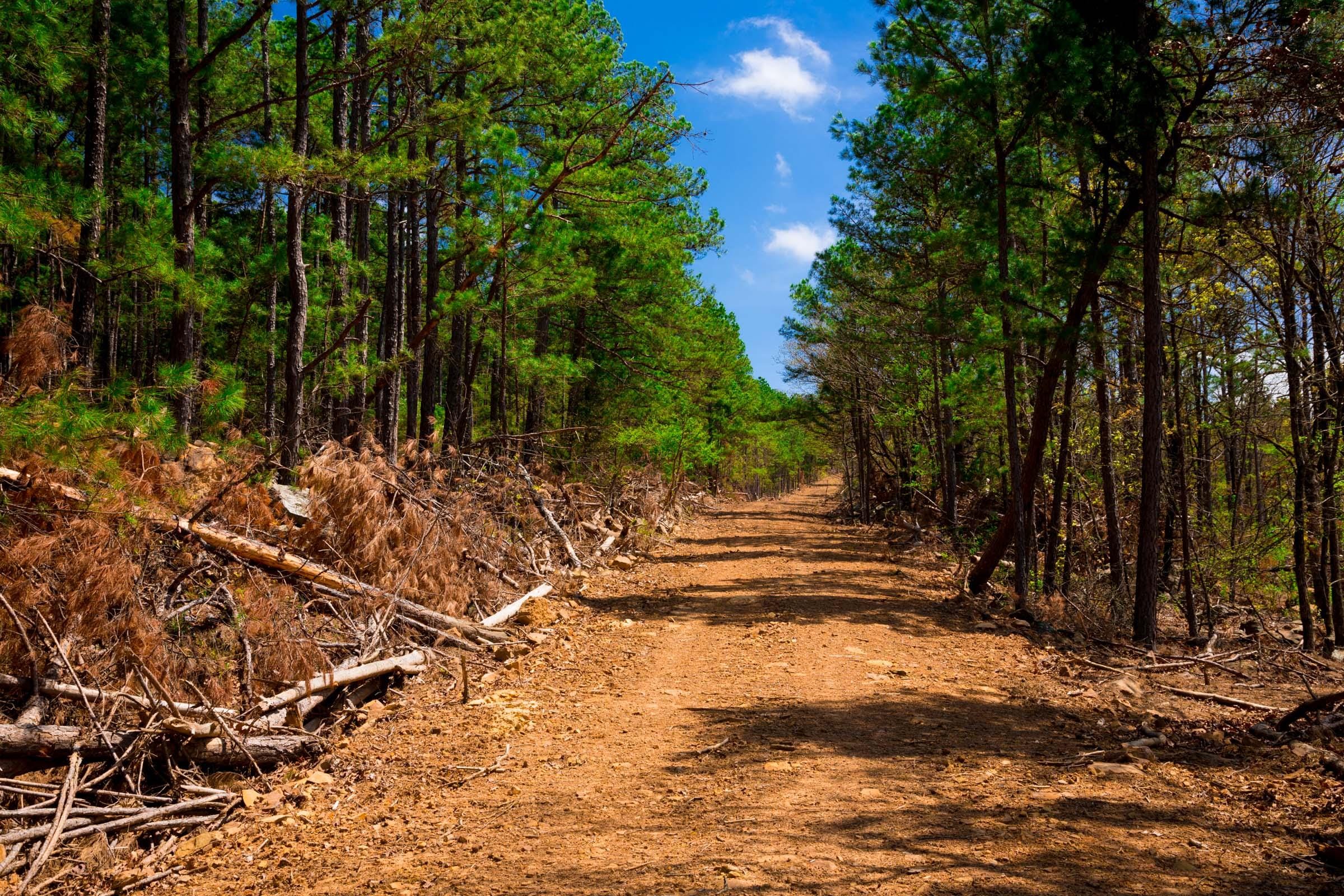Stone Creek Phase II Tract 246 photo 2