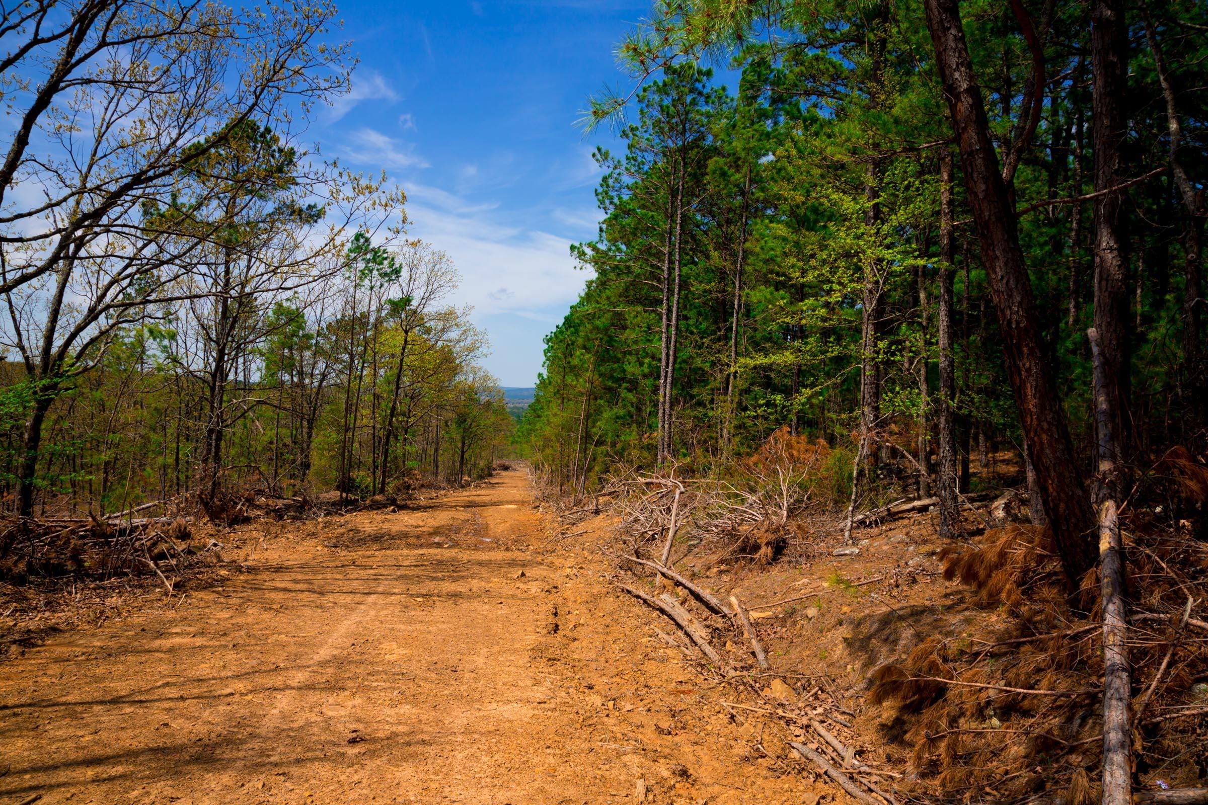 Stone Creek Phase II Tract 246 photo 6