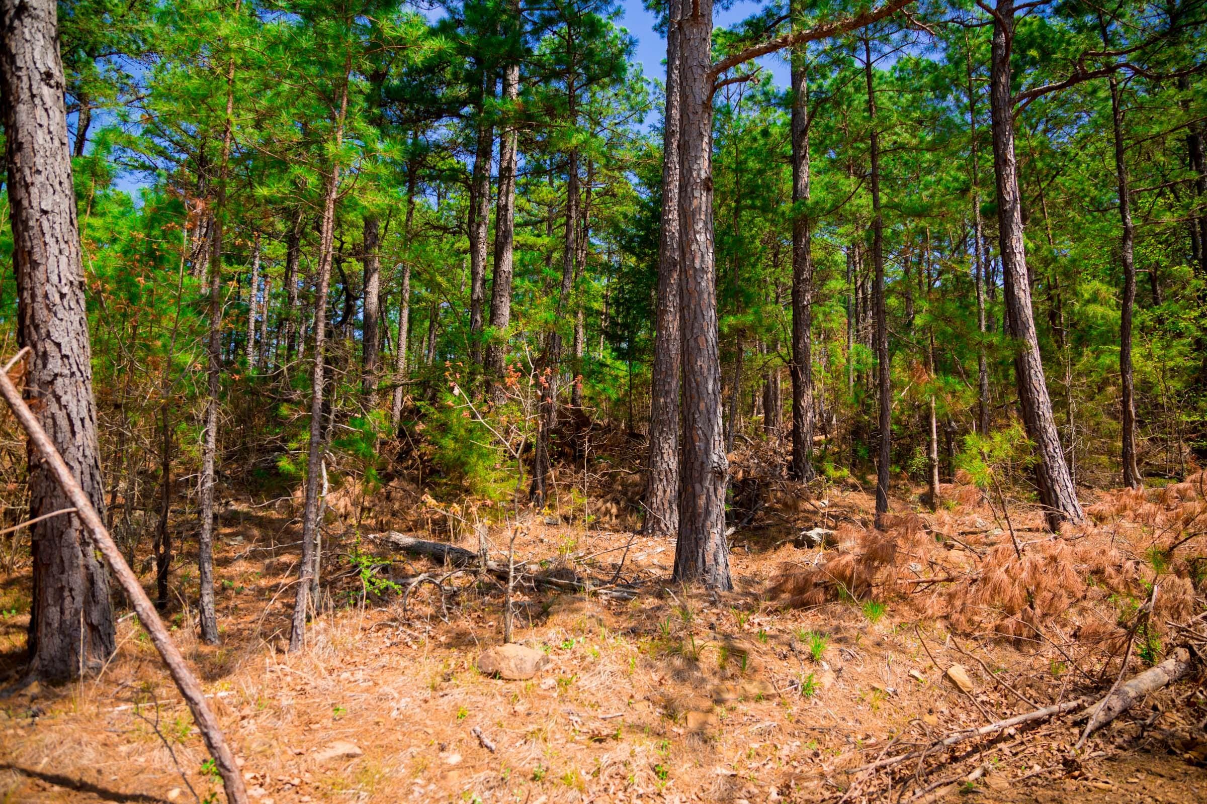 Stone Creek Phase II Tract 246 photo 11