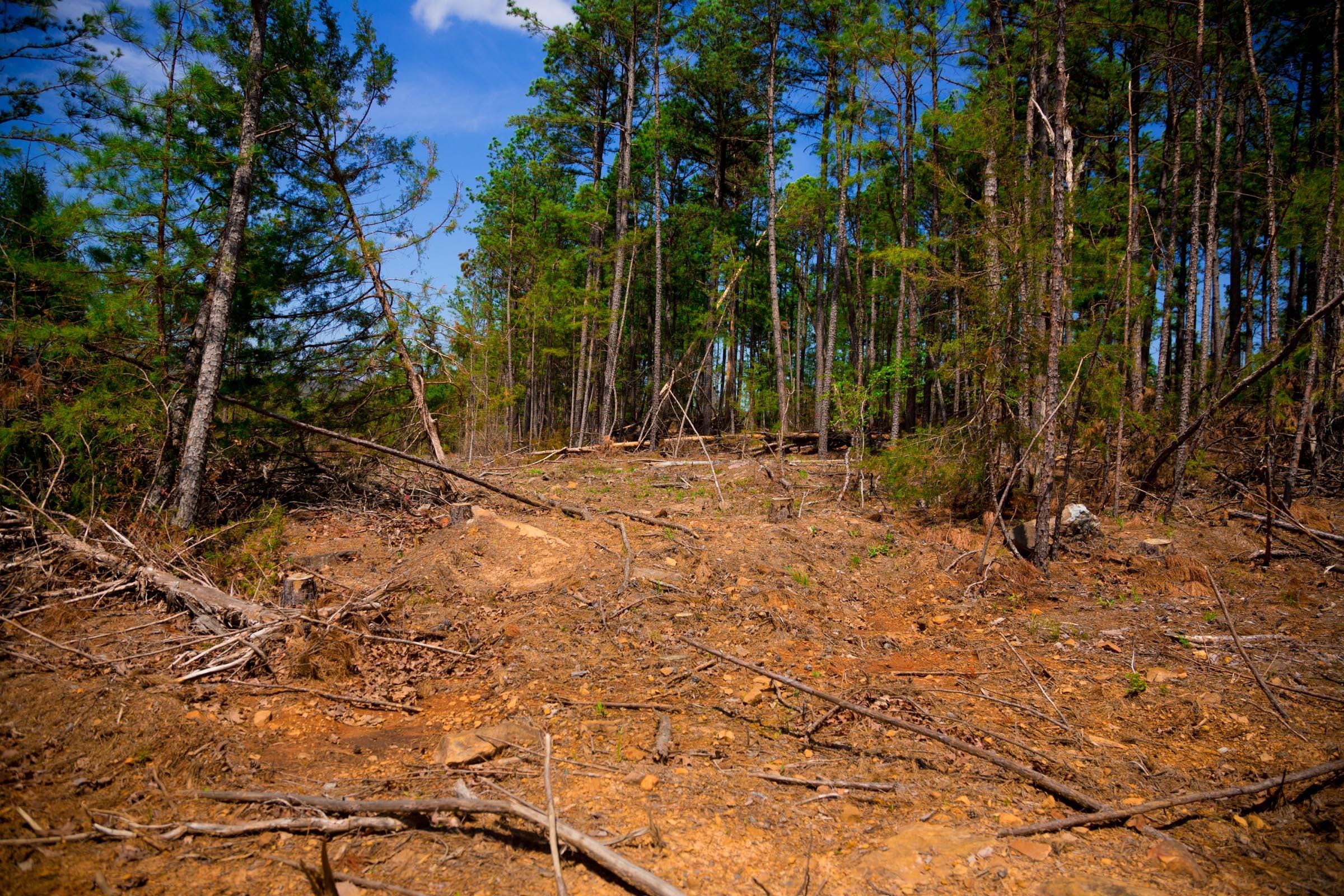 Stone Creek Phase II Tract 246 photo 9
