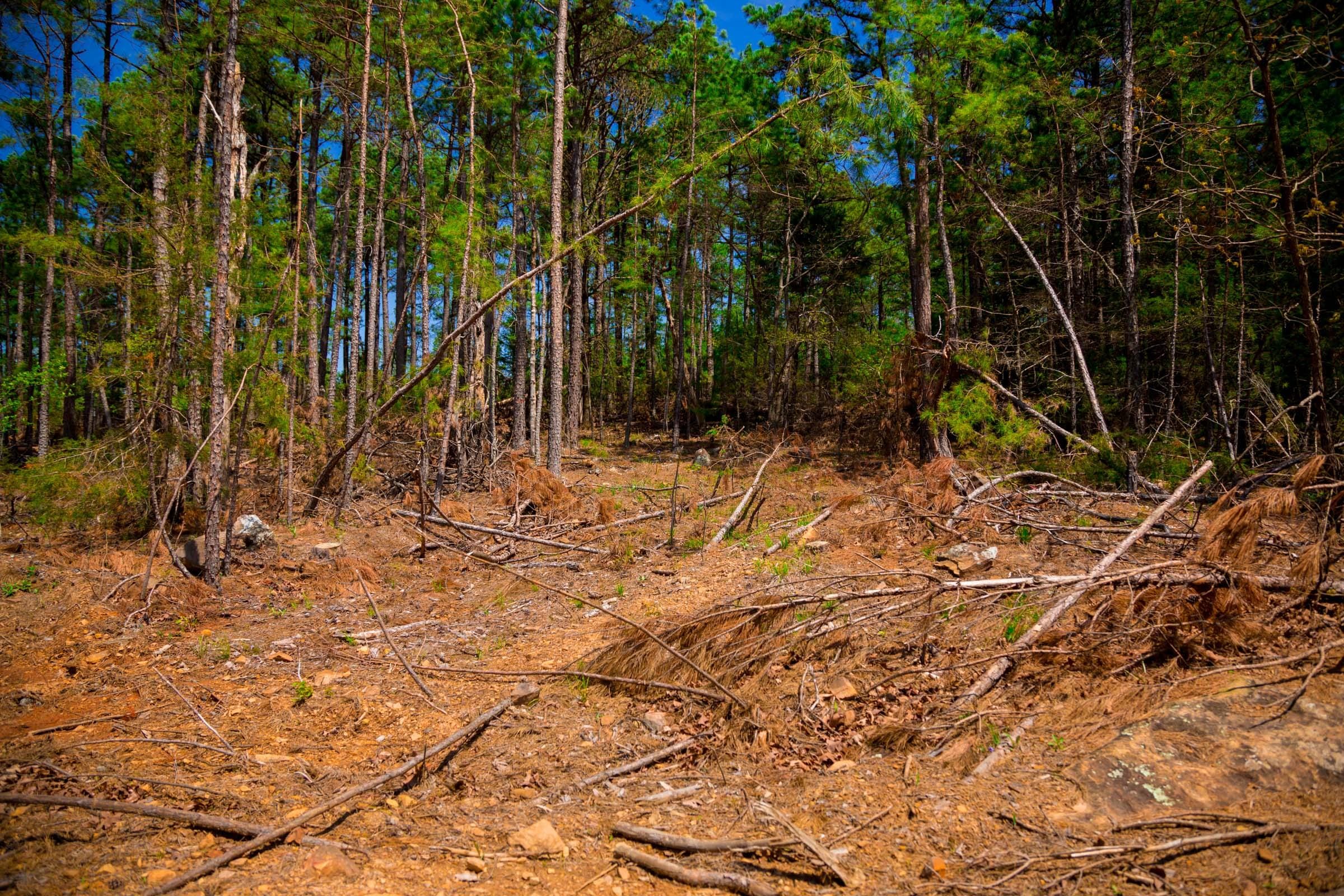 Stone Creek Phase II Tract 246 photo 12