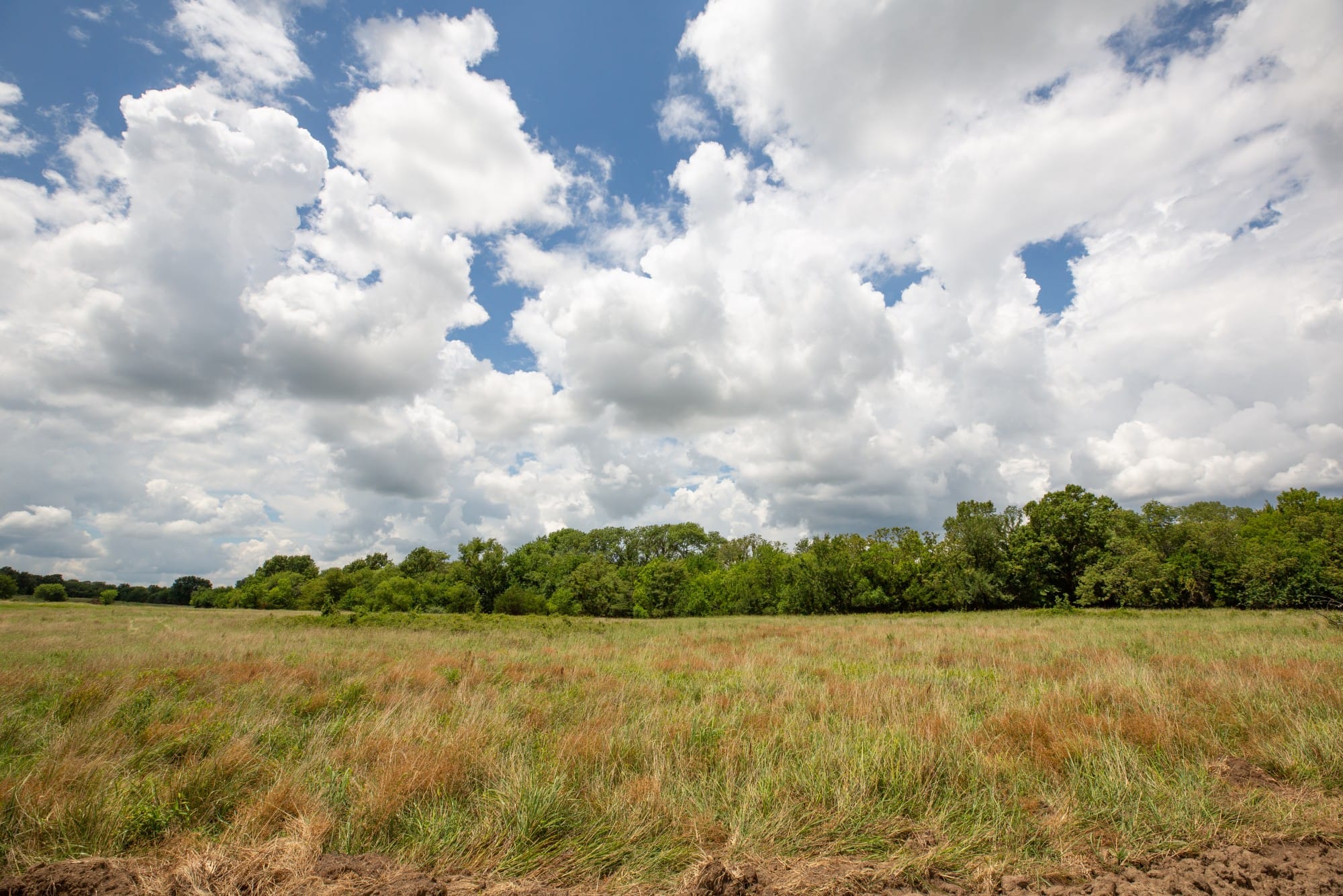 Paradise Valley Tract 7 photo 3