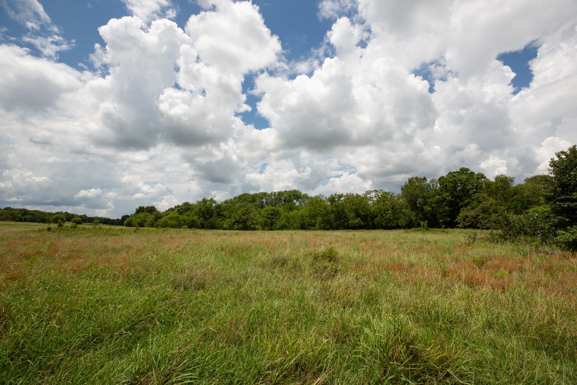 Paradise Valley Tract 7 photo 4