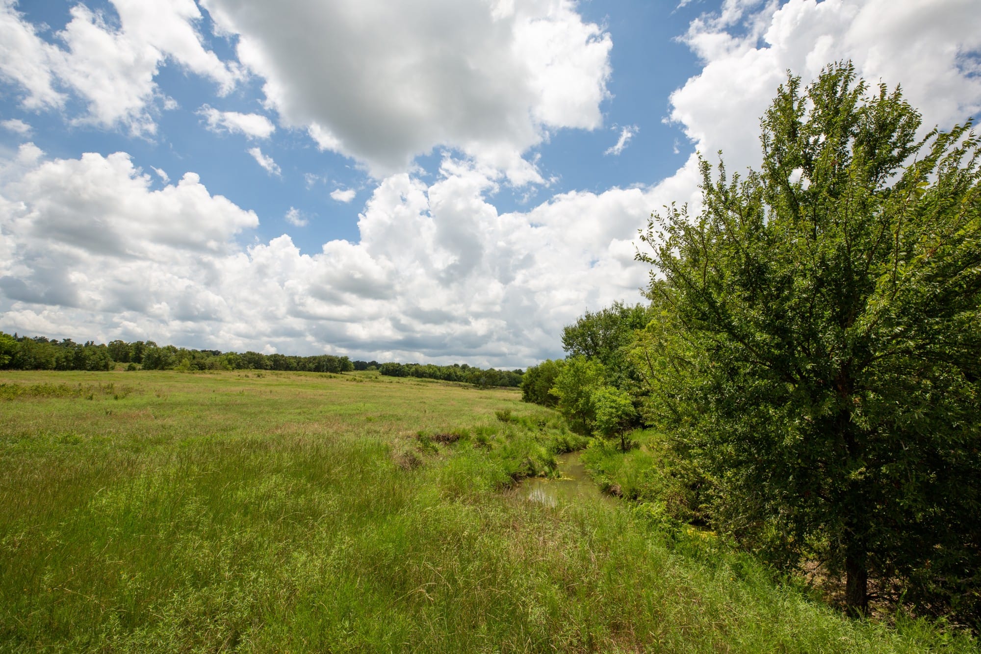 Paradise Valley Tract 7 photo 5