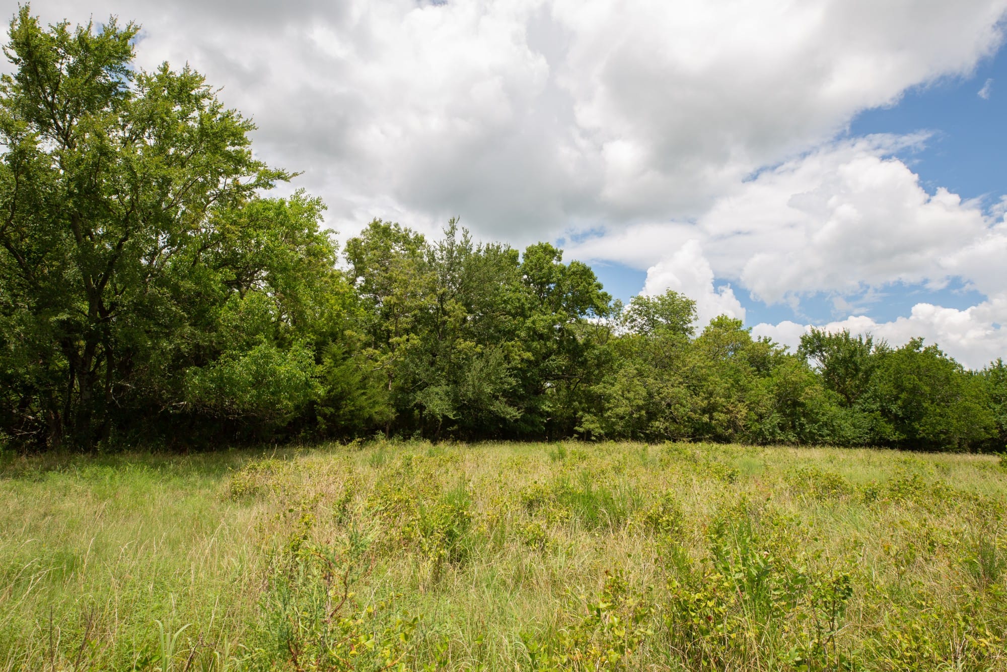 Paradise Valley Tract 7 photo 6