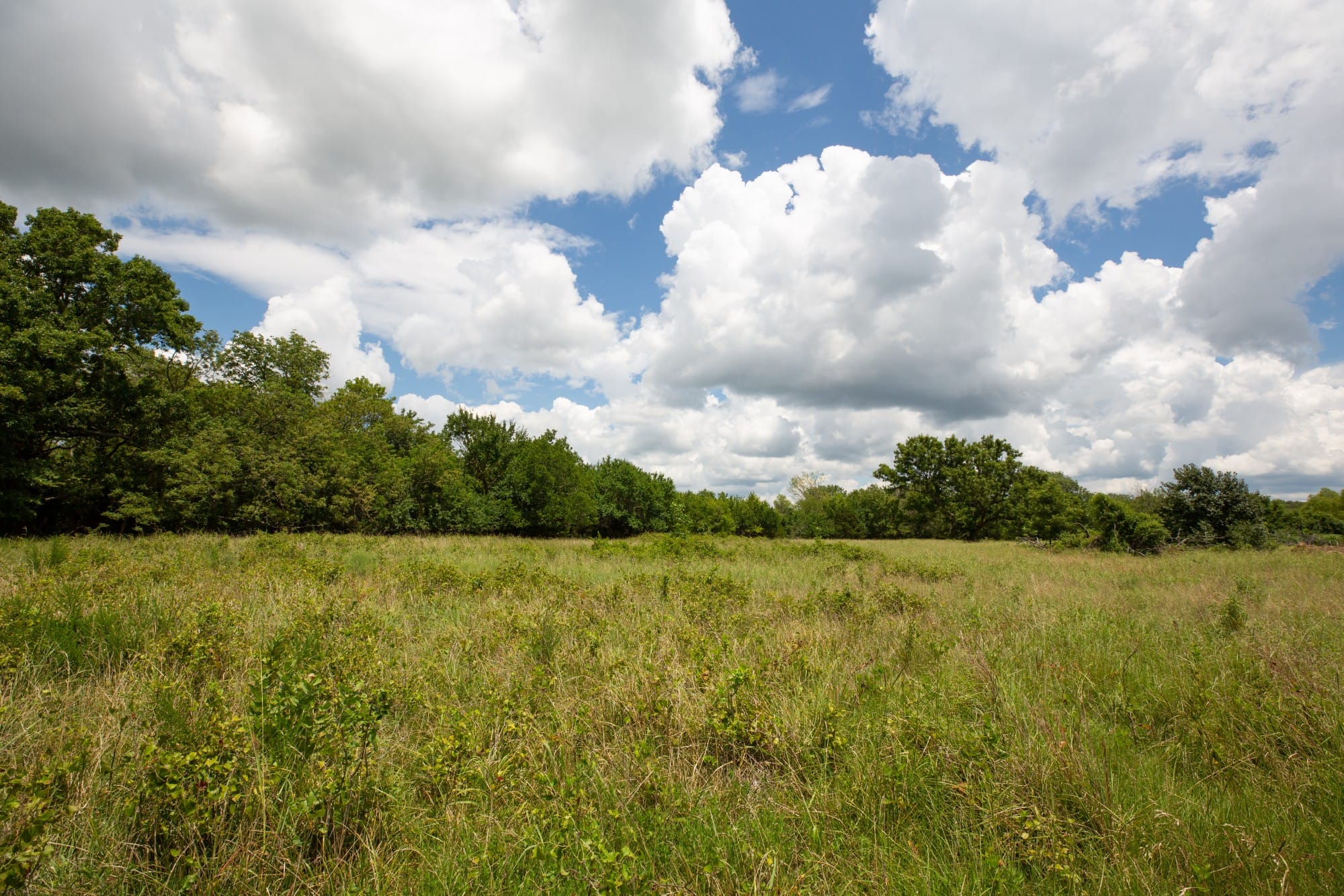 Paradise Valley Tract 7 photo 7