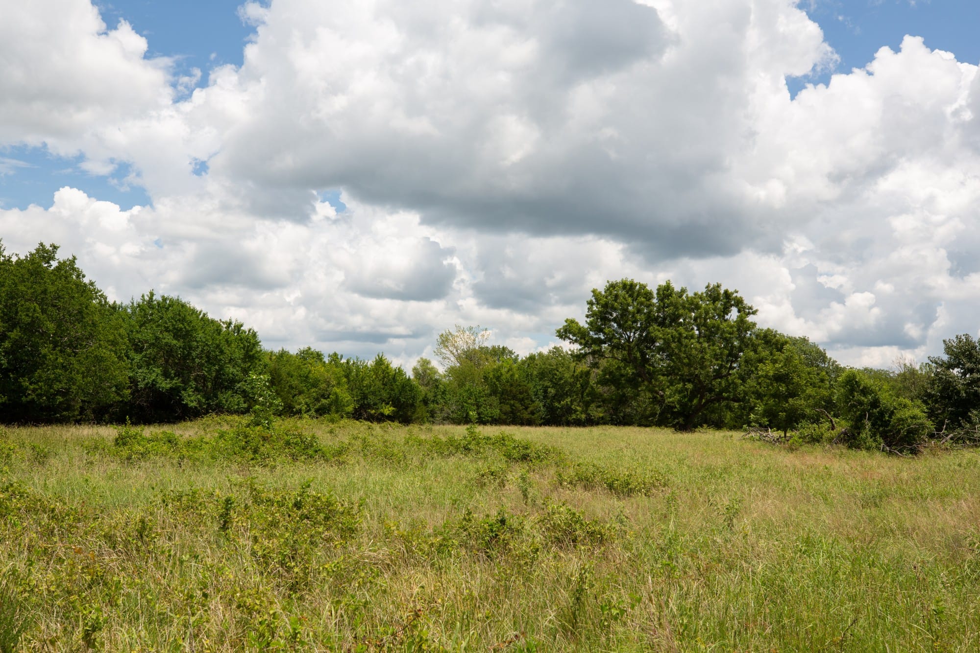 Paradise Valley Tract 7 photo 10