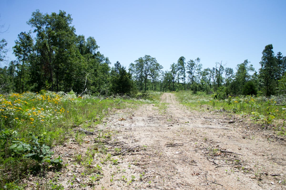 Timber Crossing Tract 20 photo 2