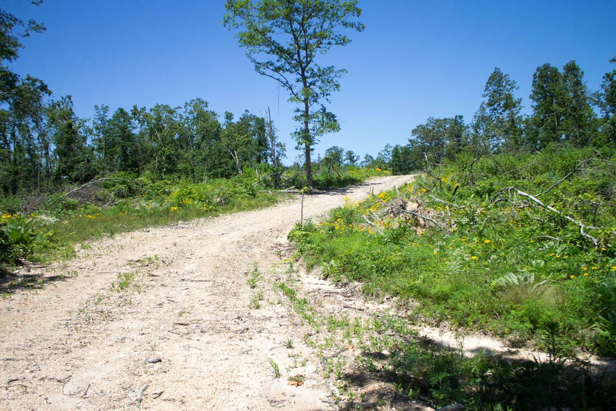 Timber Crossing Tract 20 photo 3