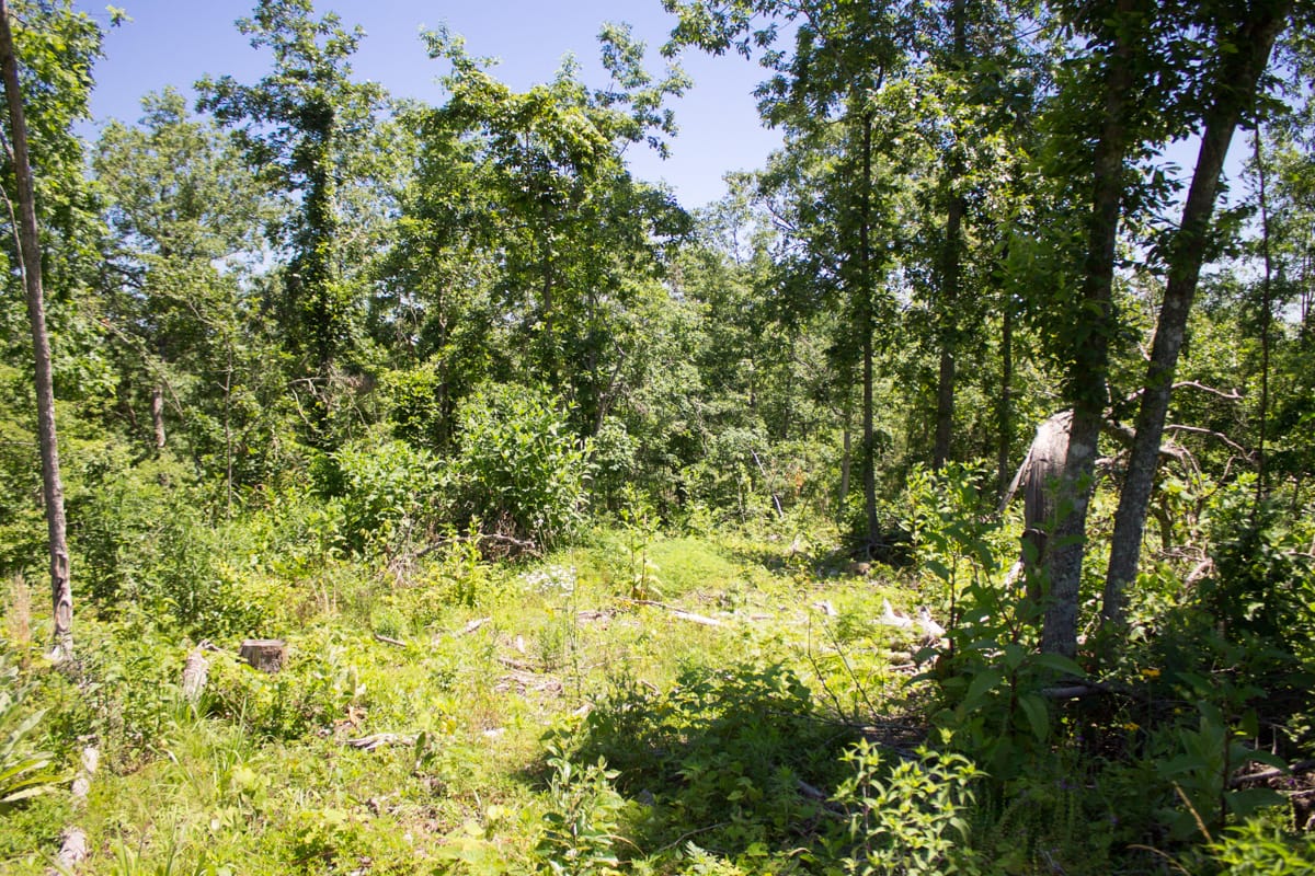 Timber Crossing Tract 20 photo 5