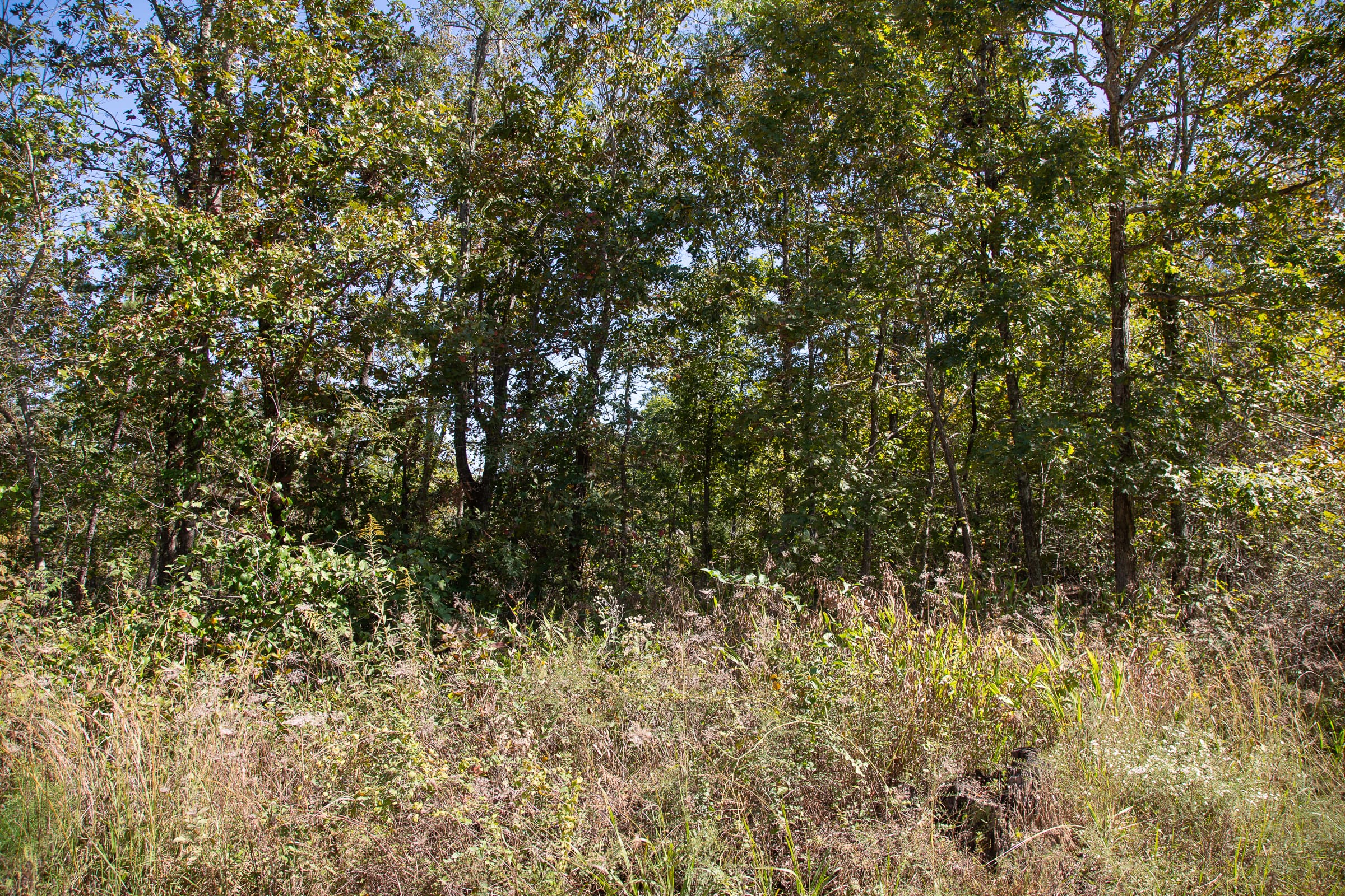 Borgmann’s Hollow Phase III Tract 93 photo 4