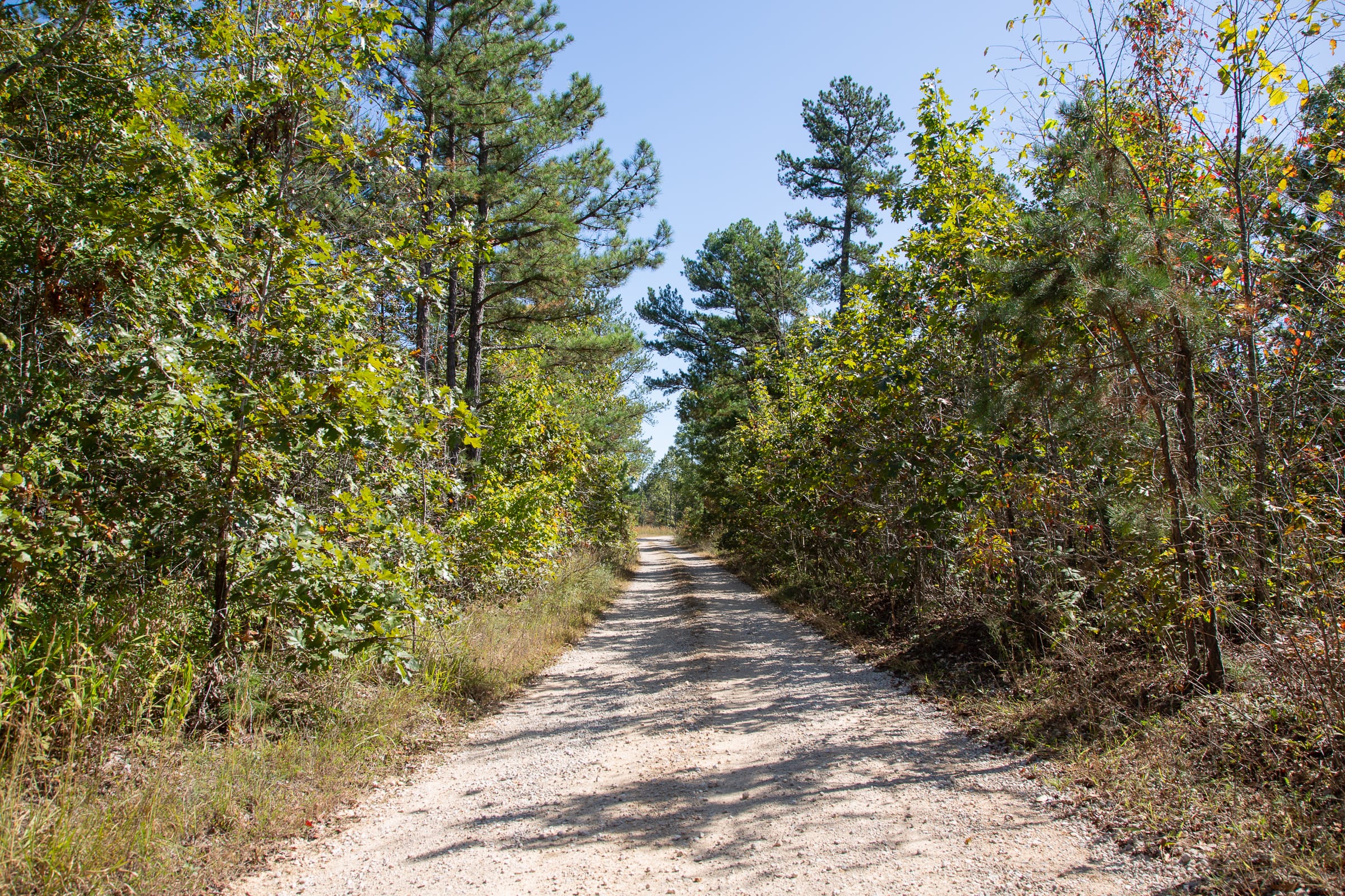 Borgmann’s Hollow Phase III Tract 93 photo 2