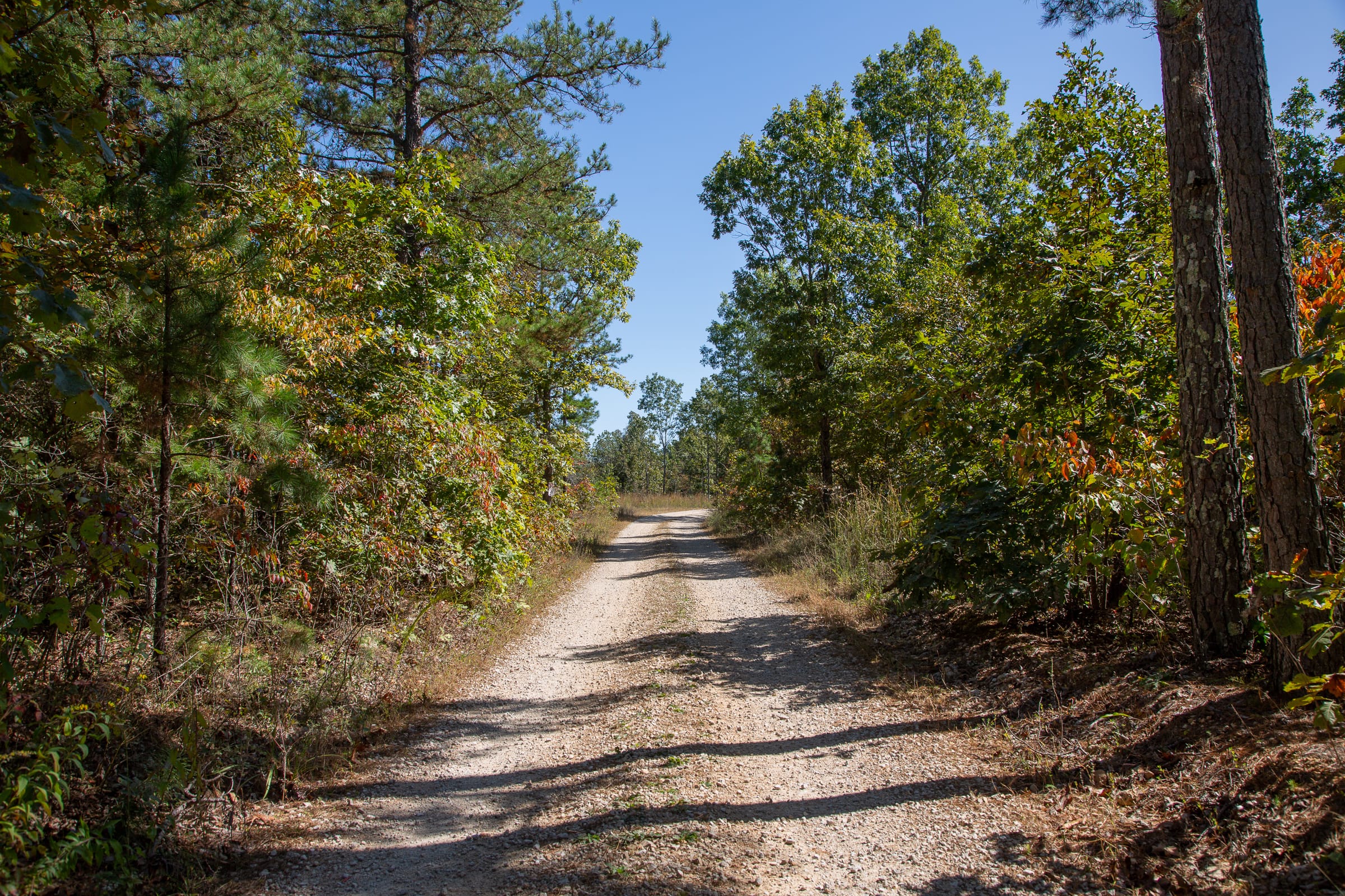 Borgmann’s Hollow Phase III Tract 93 photo 9