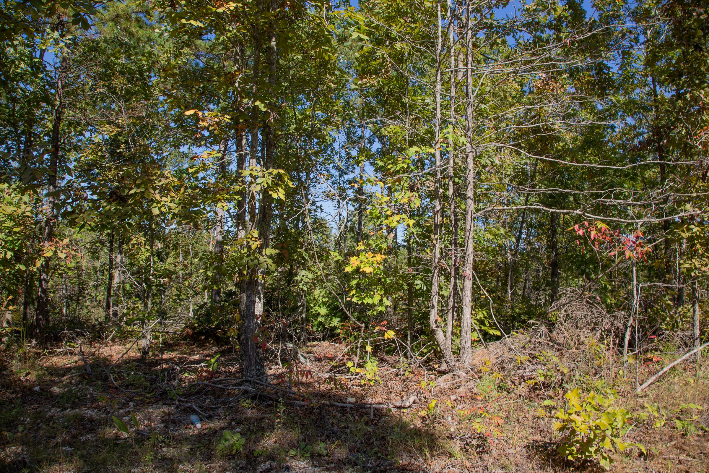 Borgmann’s Hollow Phase III Tract 93 photo 12